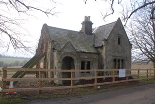 02 Rosemary DSC_8733