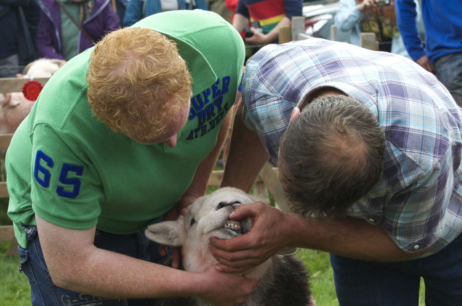 02 Jim P Consequences No6