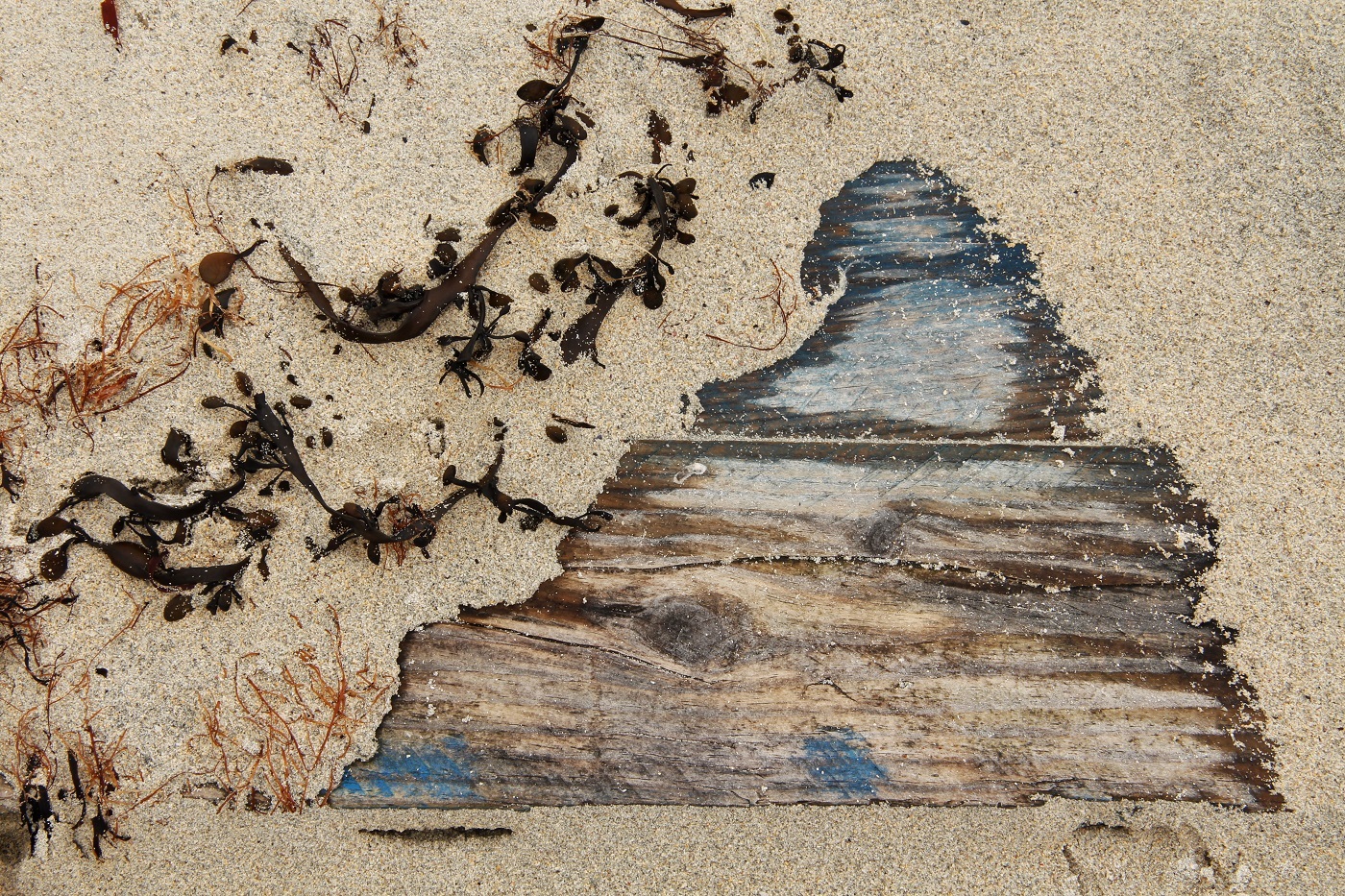 02 Mary Harris beach