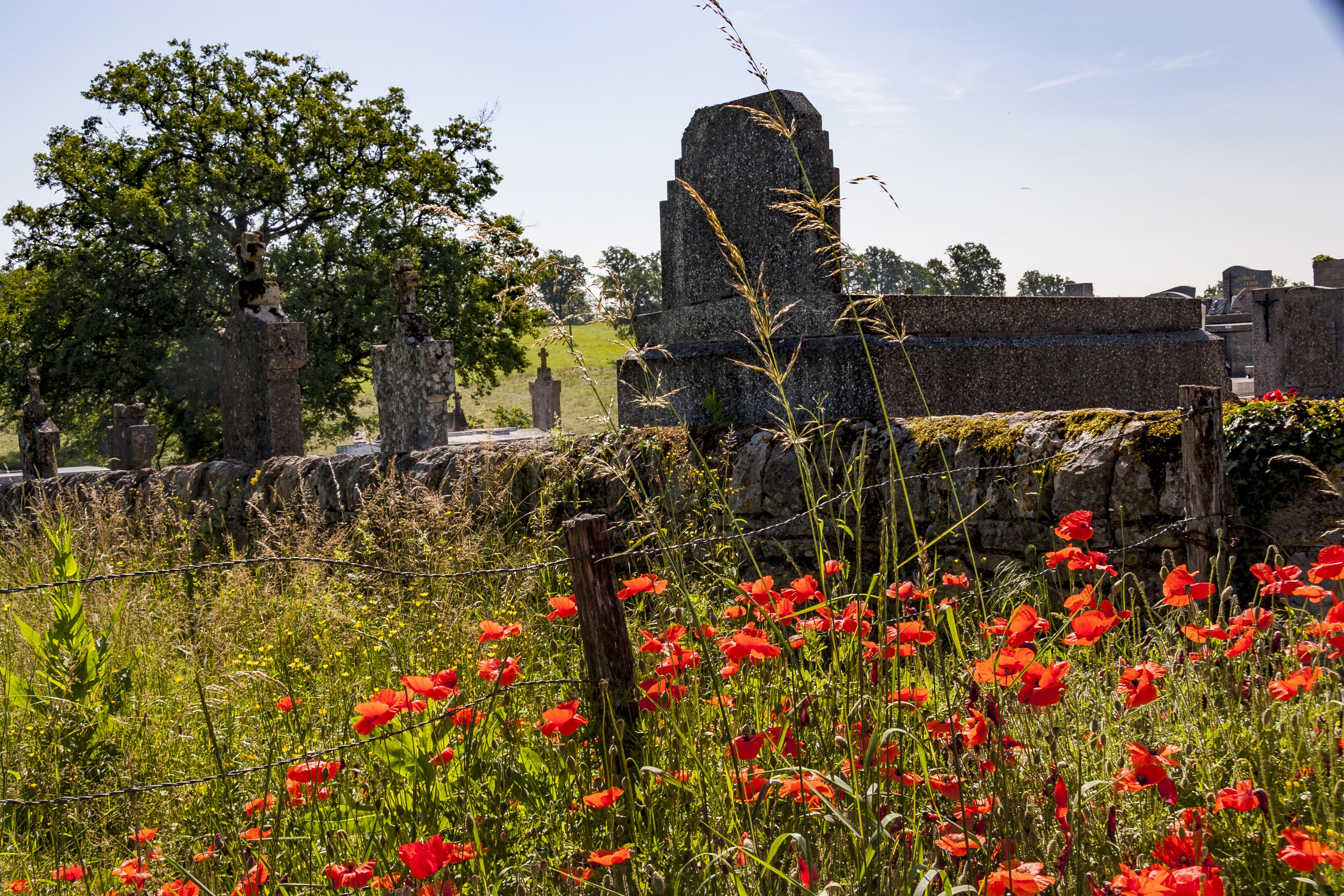 05 Len - LN070714-01 059 v1