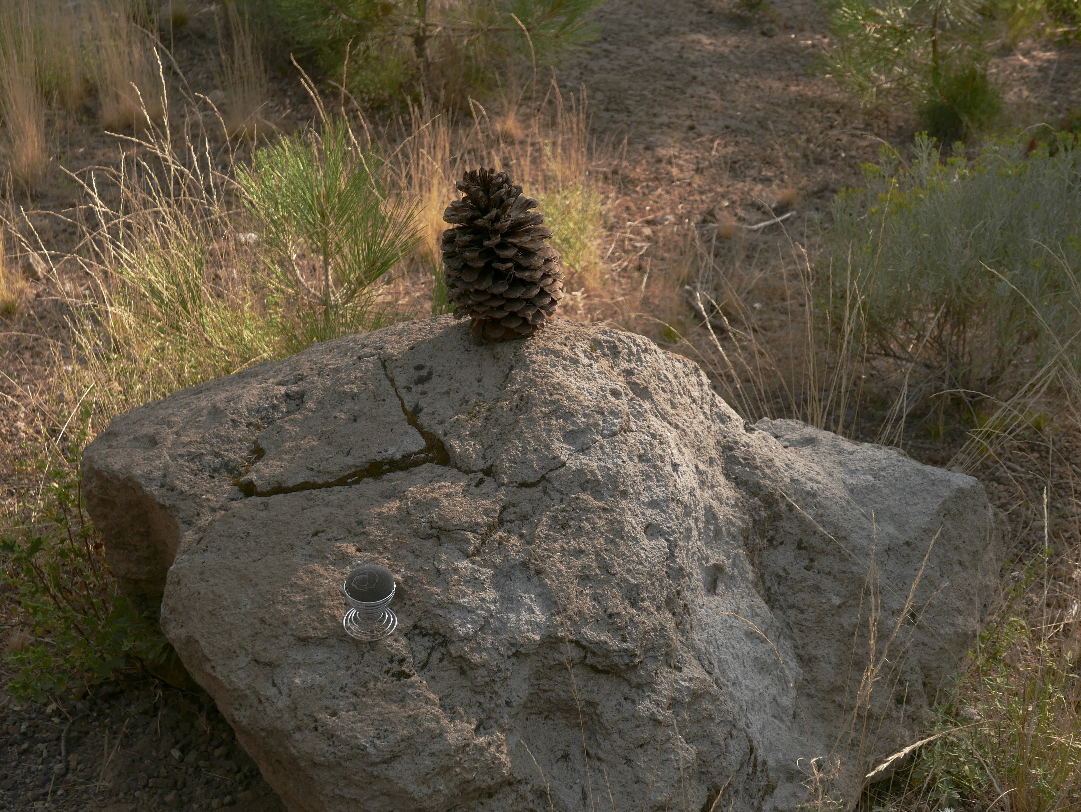 06 Mermie L1020073 (1)