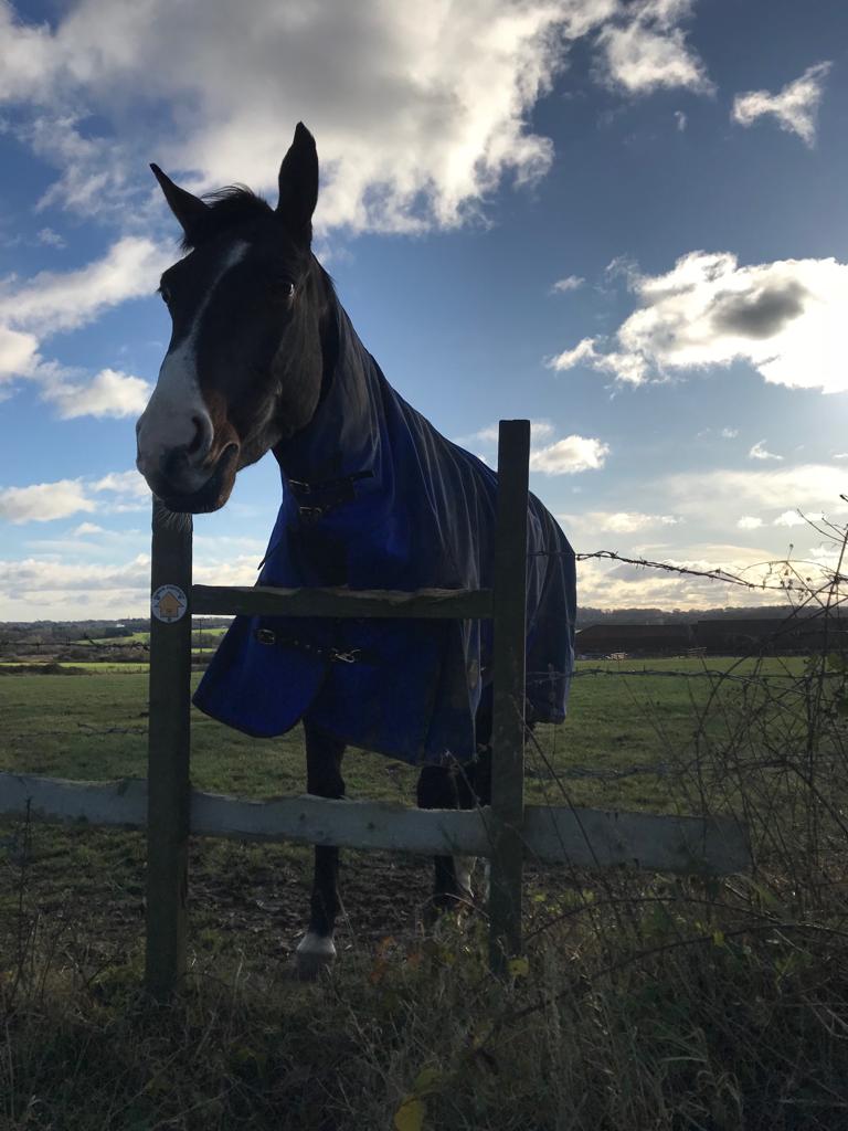 05 Avril_70b57c7a-4aaf-4965-b58f-17588d10cfef (1)