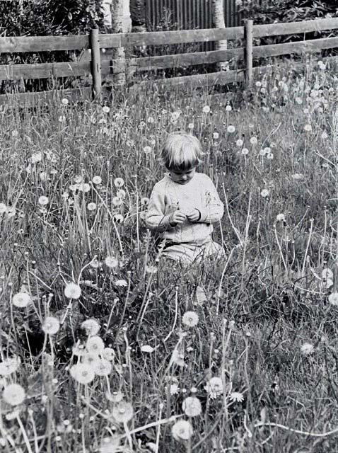 6 - boy in buttercups (3)