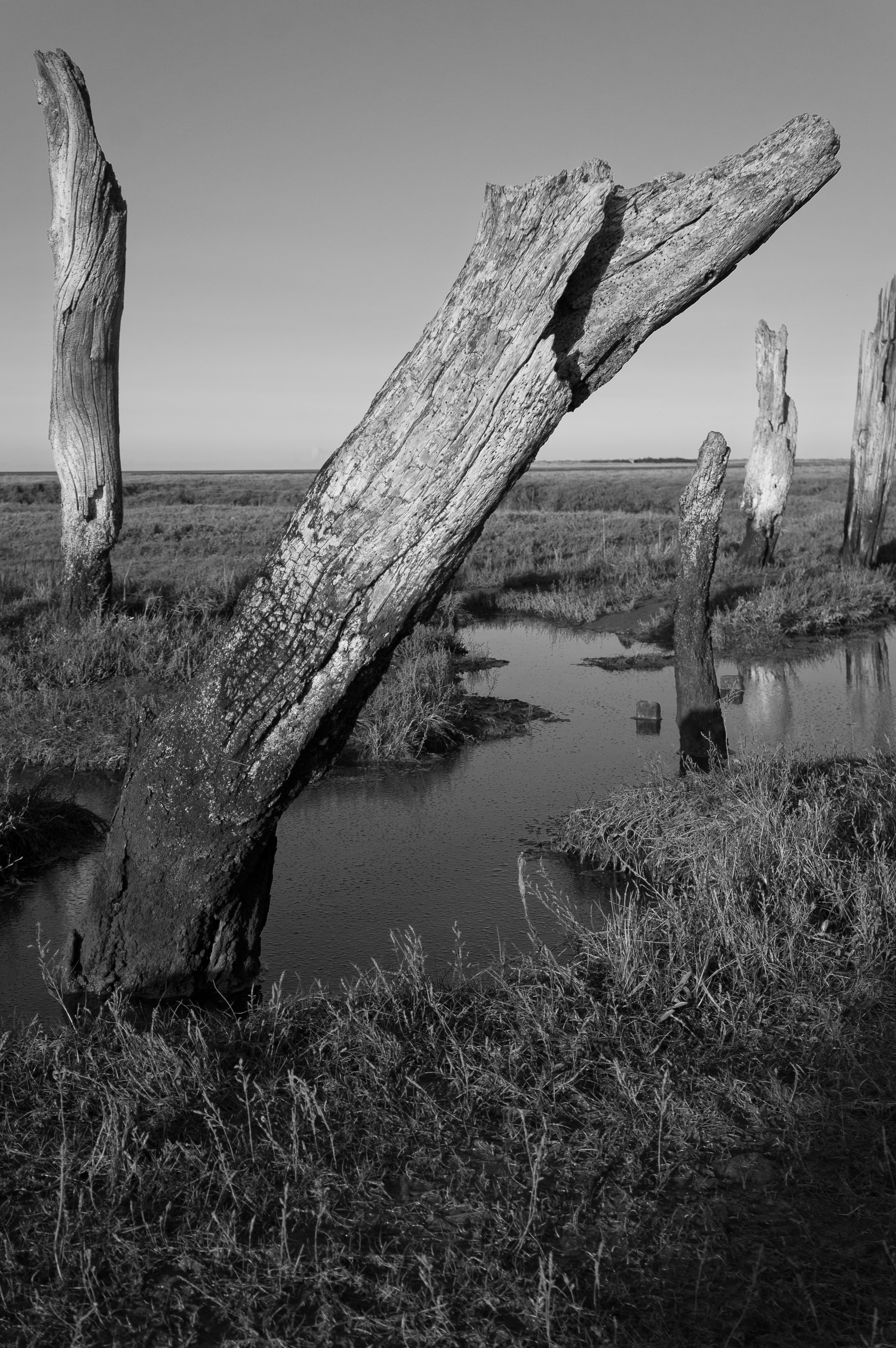 6 Norfolk wooden sculpture