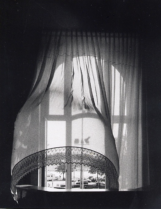 BillowingCurtain copy