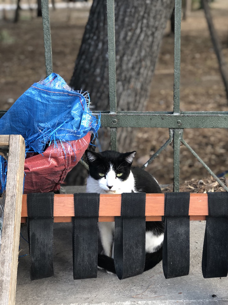 05.UNADJUSTEDNONRAW_thumb_8991