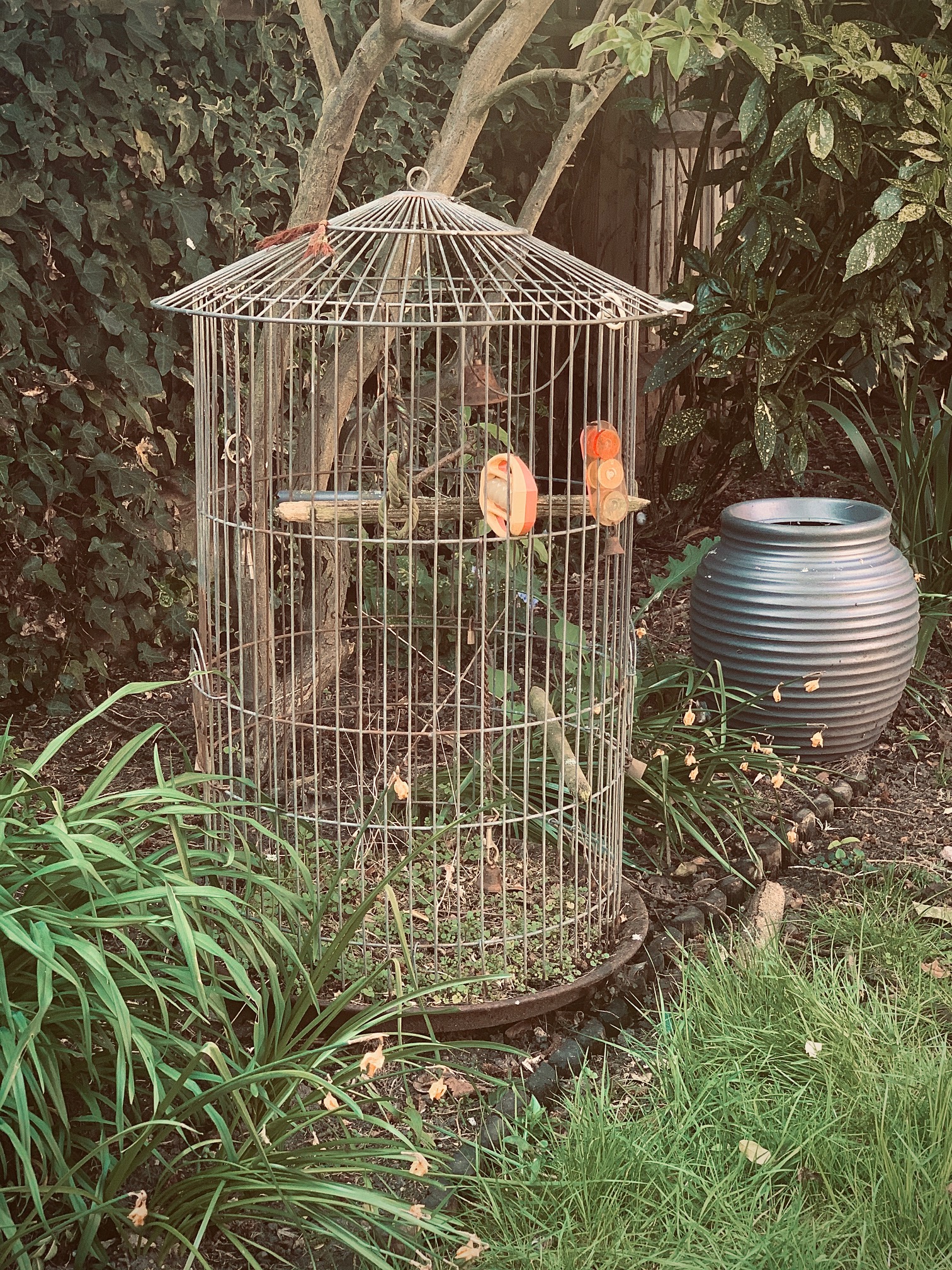 03.Rashida.image (3)