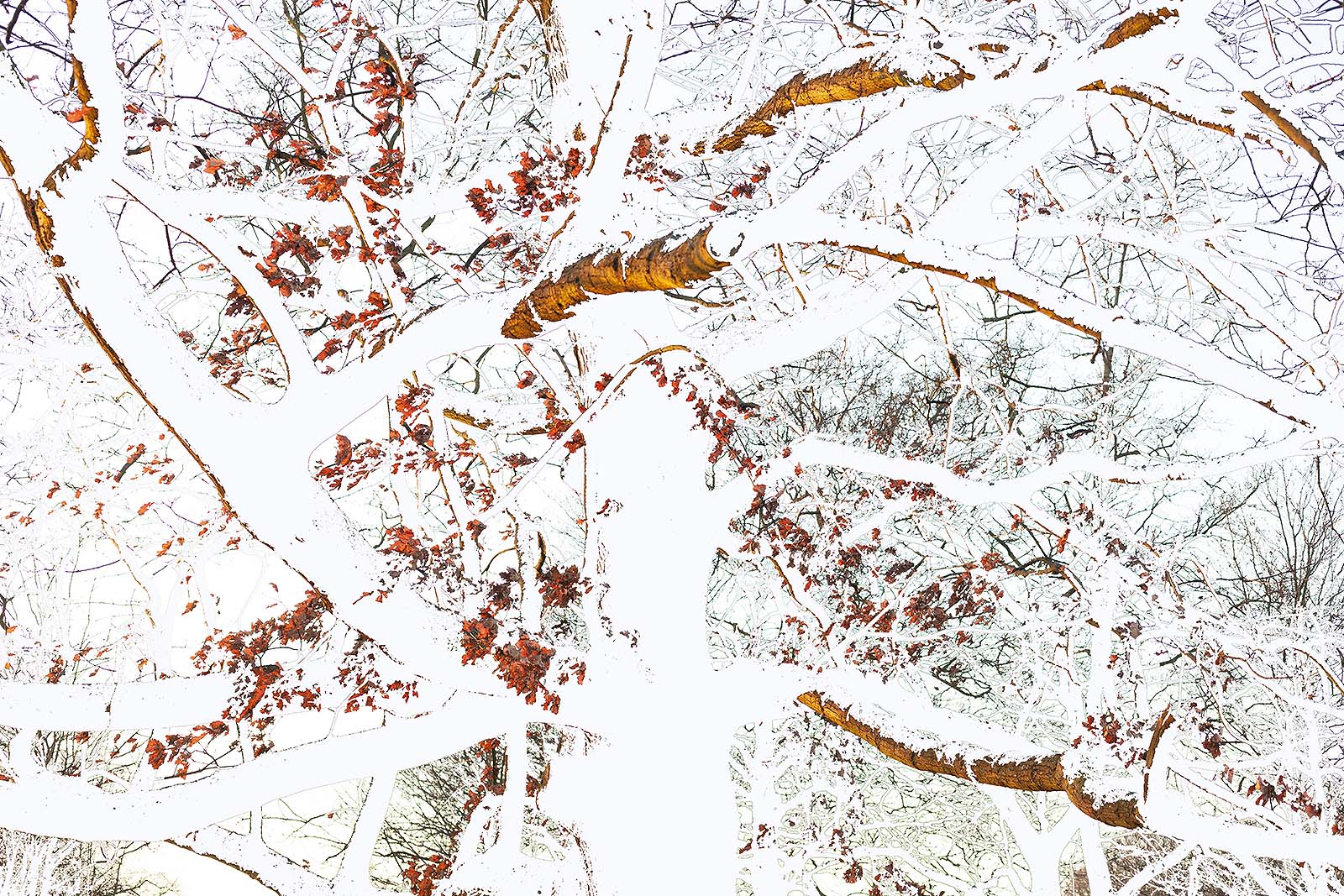 h.02.Colin._MG_7552tws