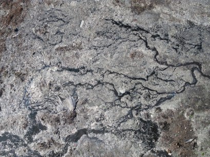 h.08.Duncan.IMG_5724