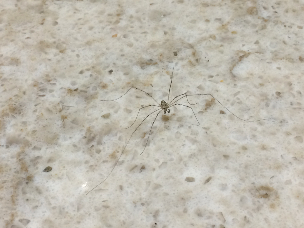 h.09.Mermie.IMG_5710