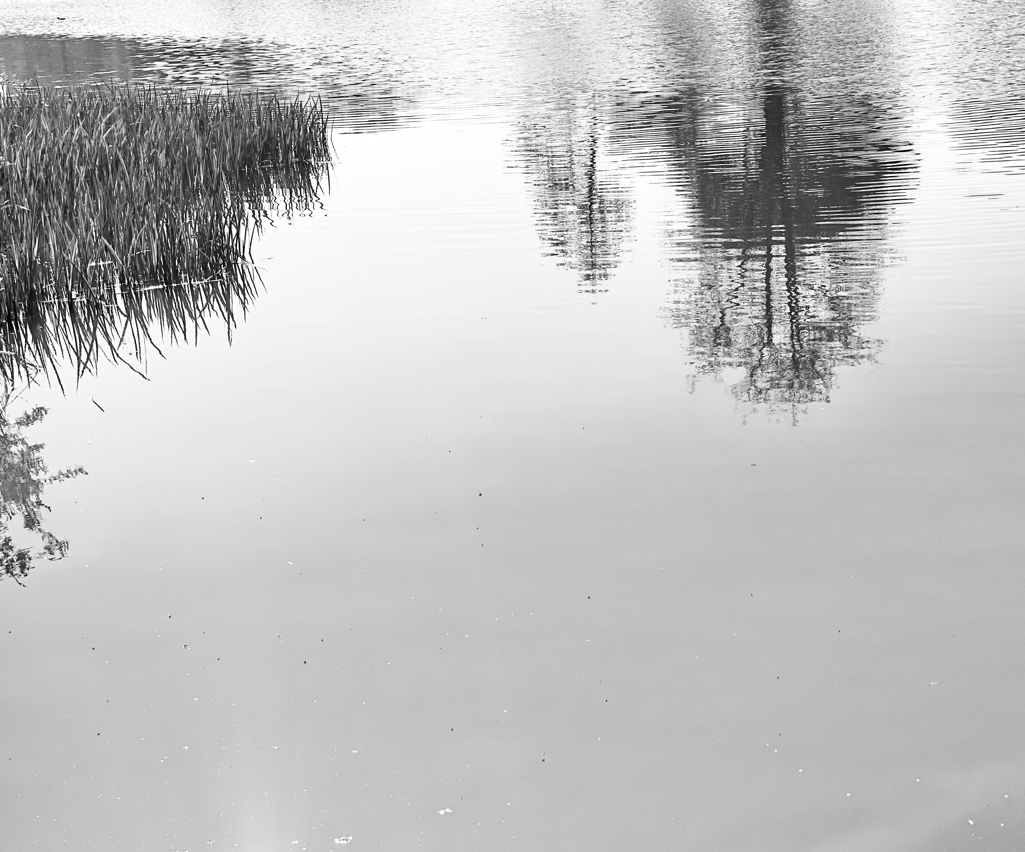 m.05.Bunshri.IMG_1552