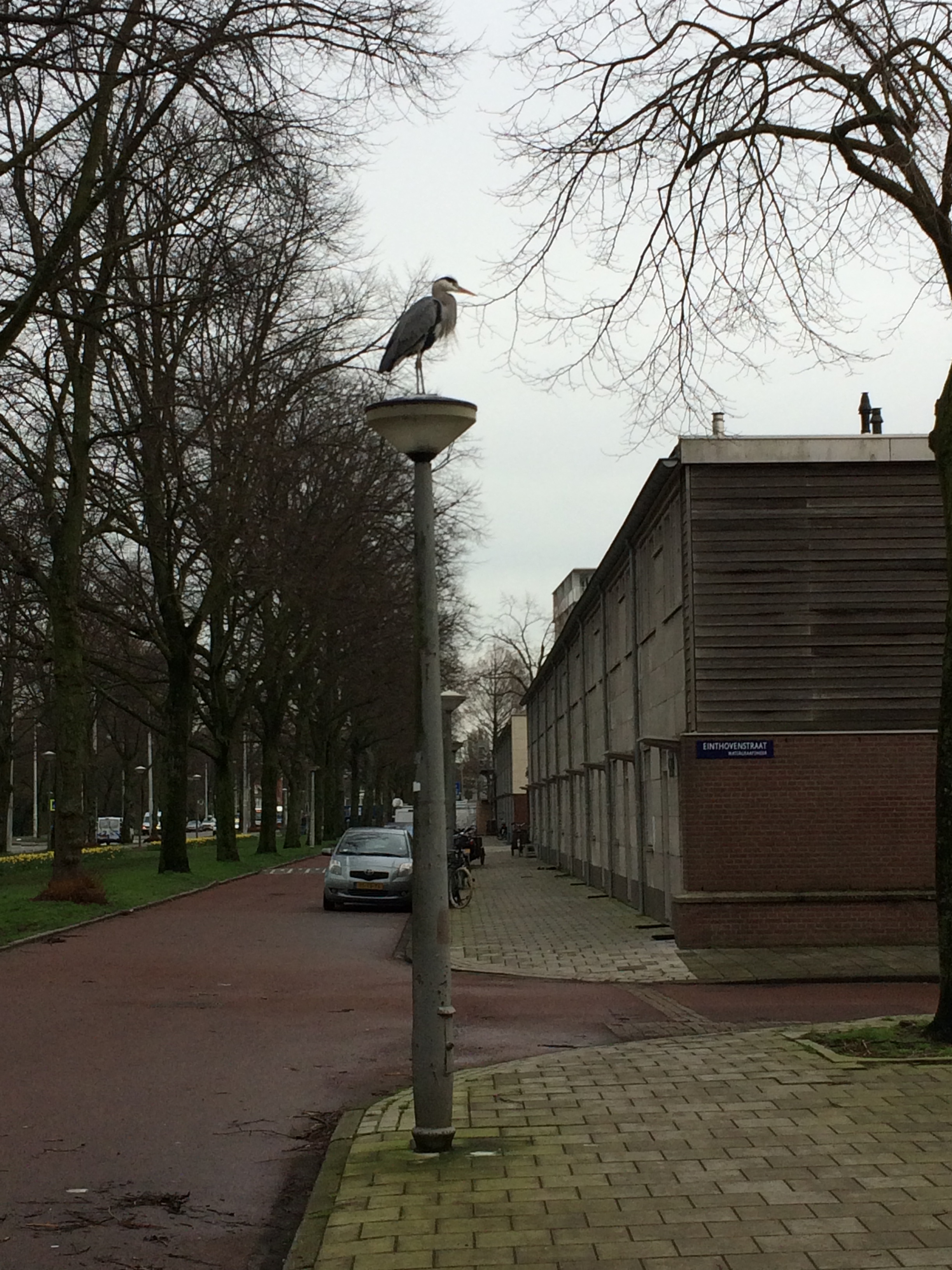 m.08.George.IMG_0915