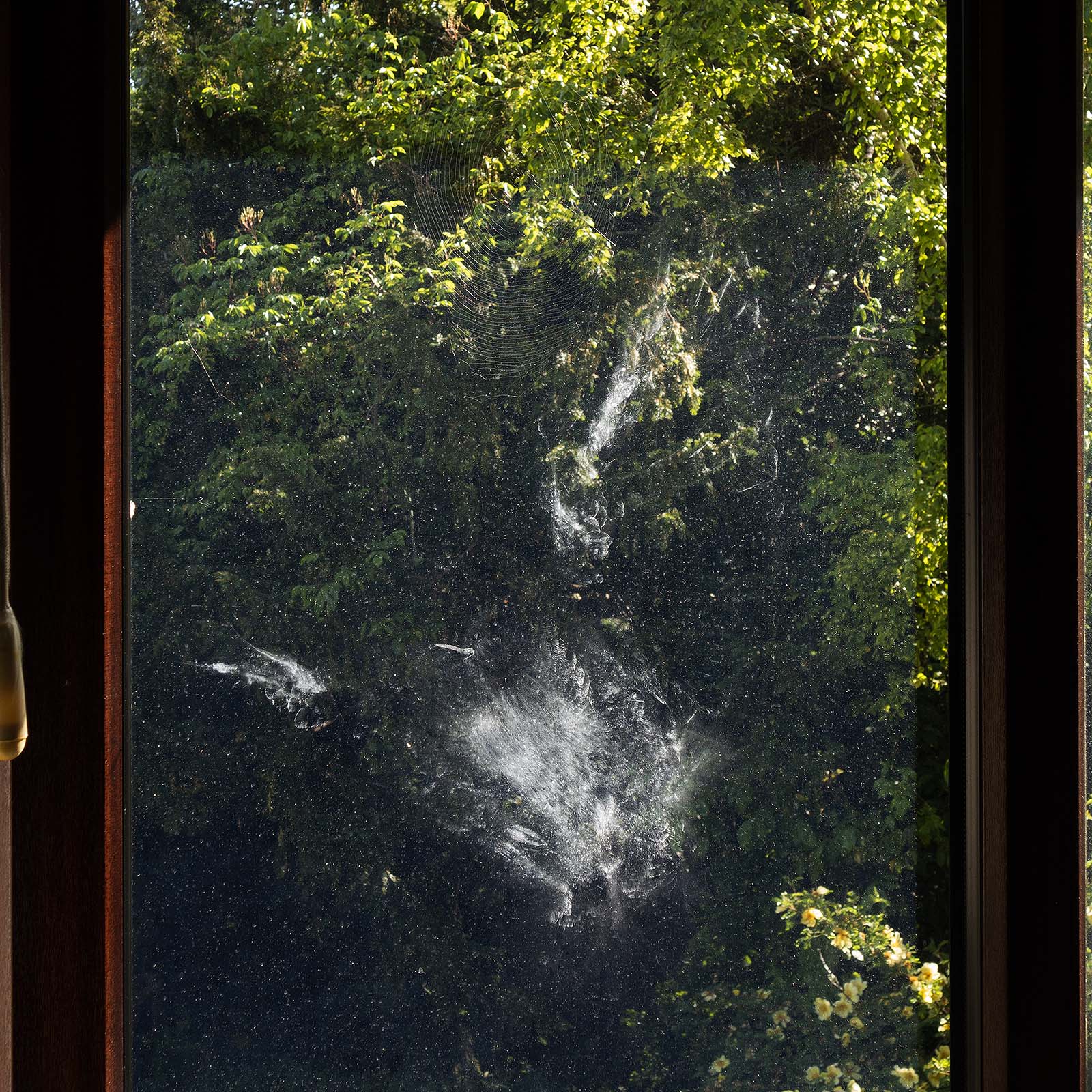 m.11.Colin.11._DSC6252Birds