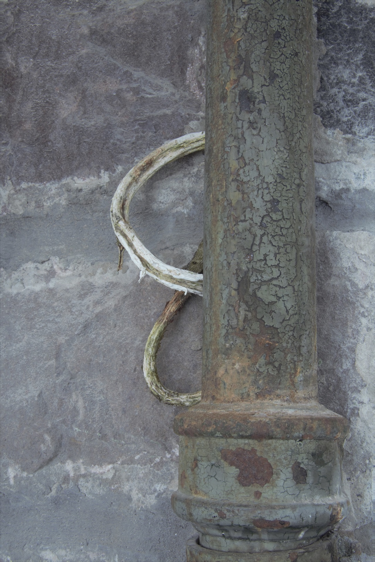 b.03.Mary.E80CAB3C463F4B82A3E41FC437B6690B