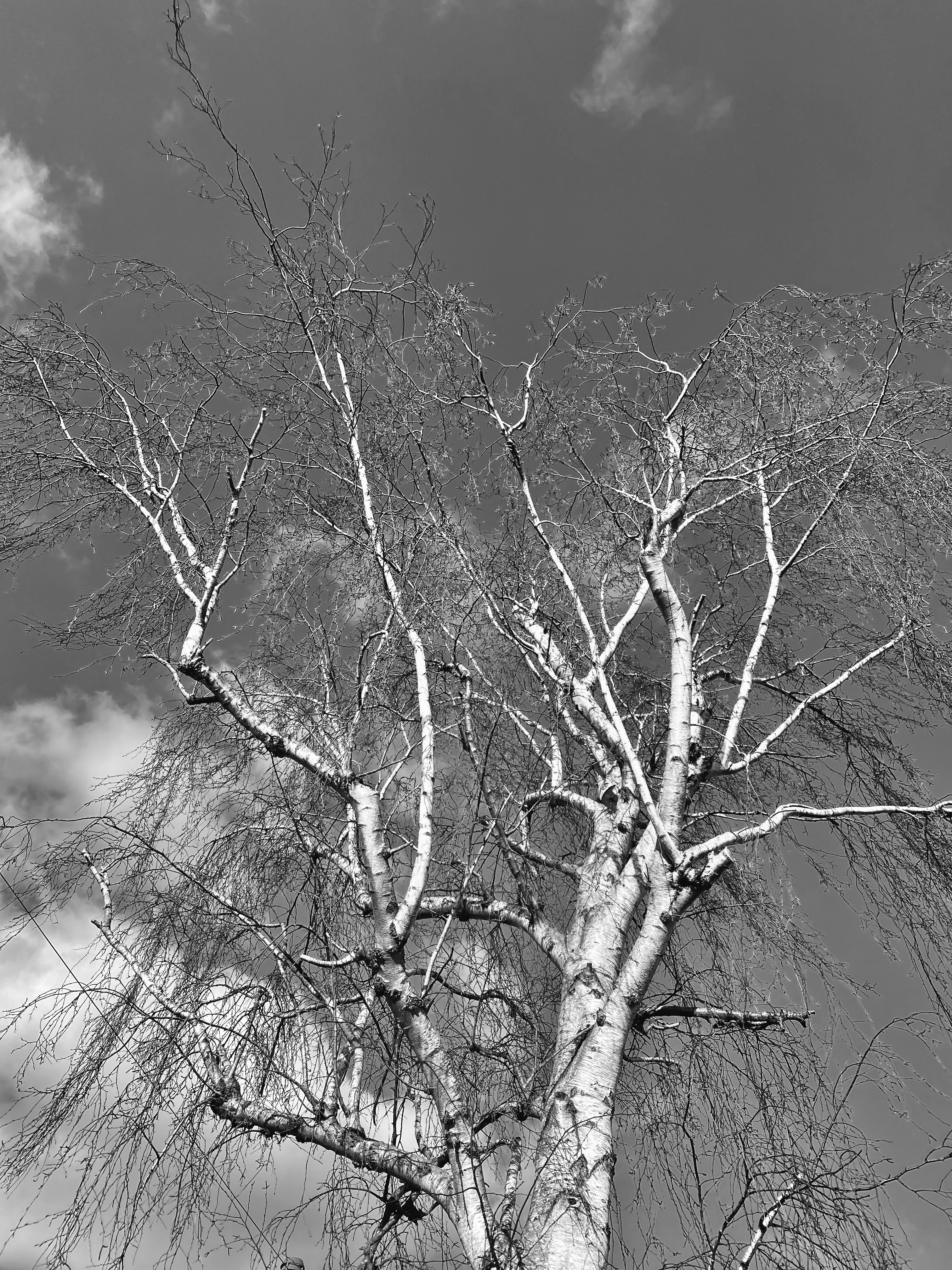 b.05.Bunshri.IMG_1221