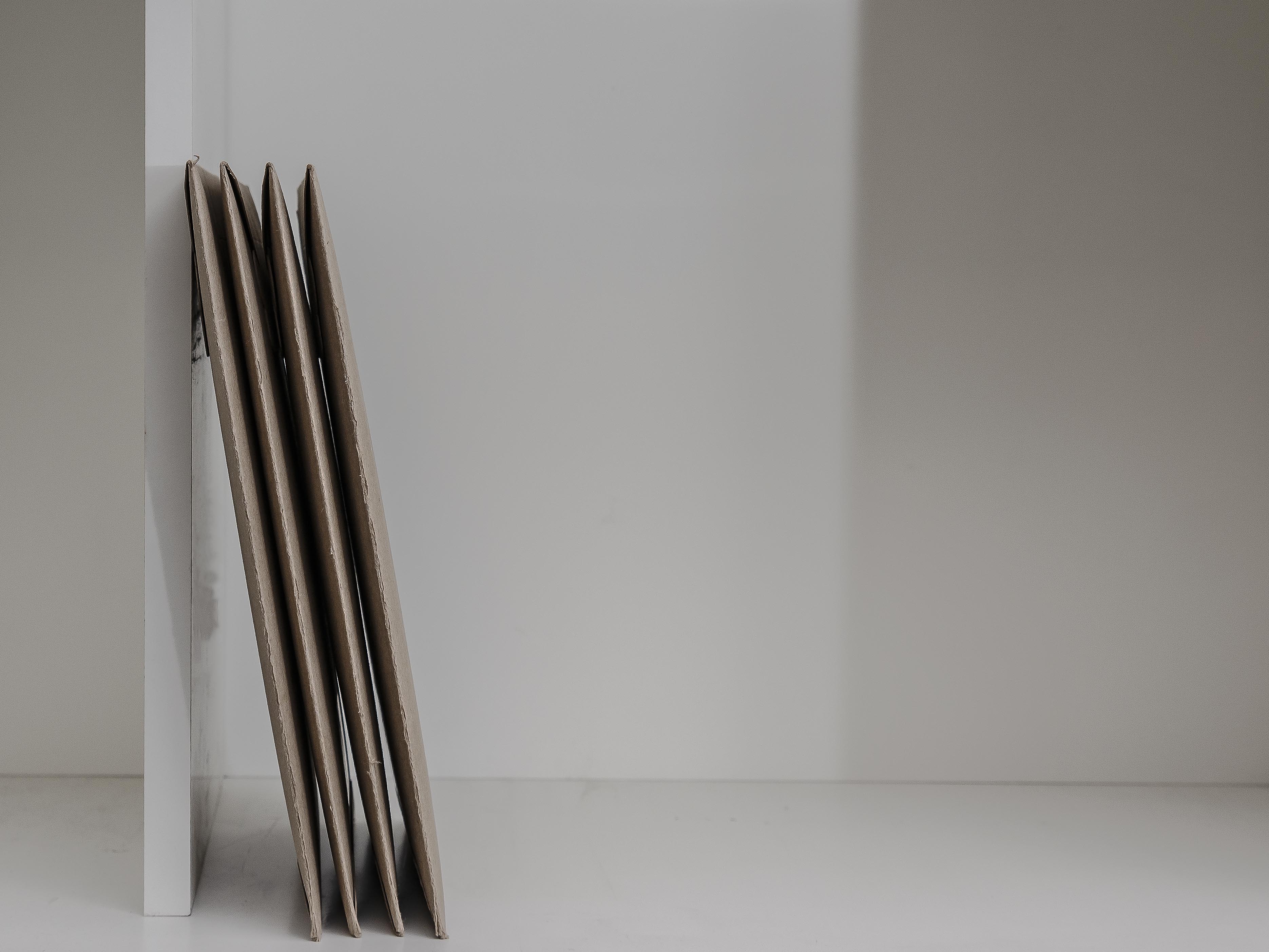 c.04.Len.P1050460 v1