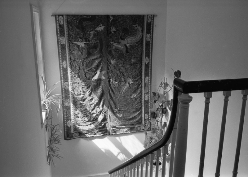 a.02.Mermie.SpruceSt.001