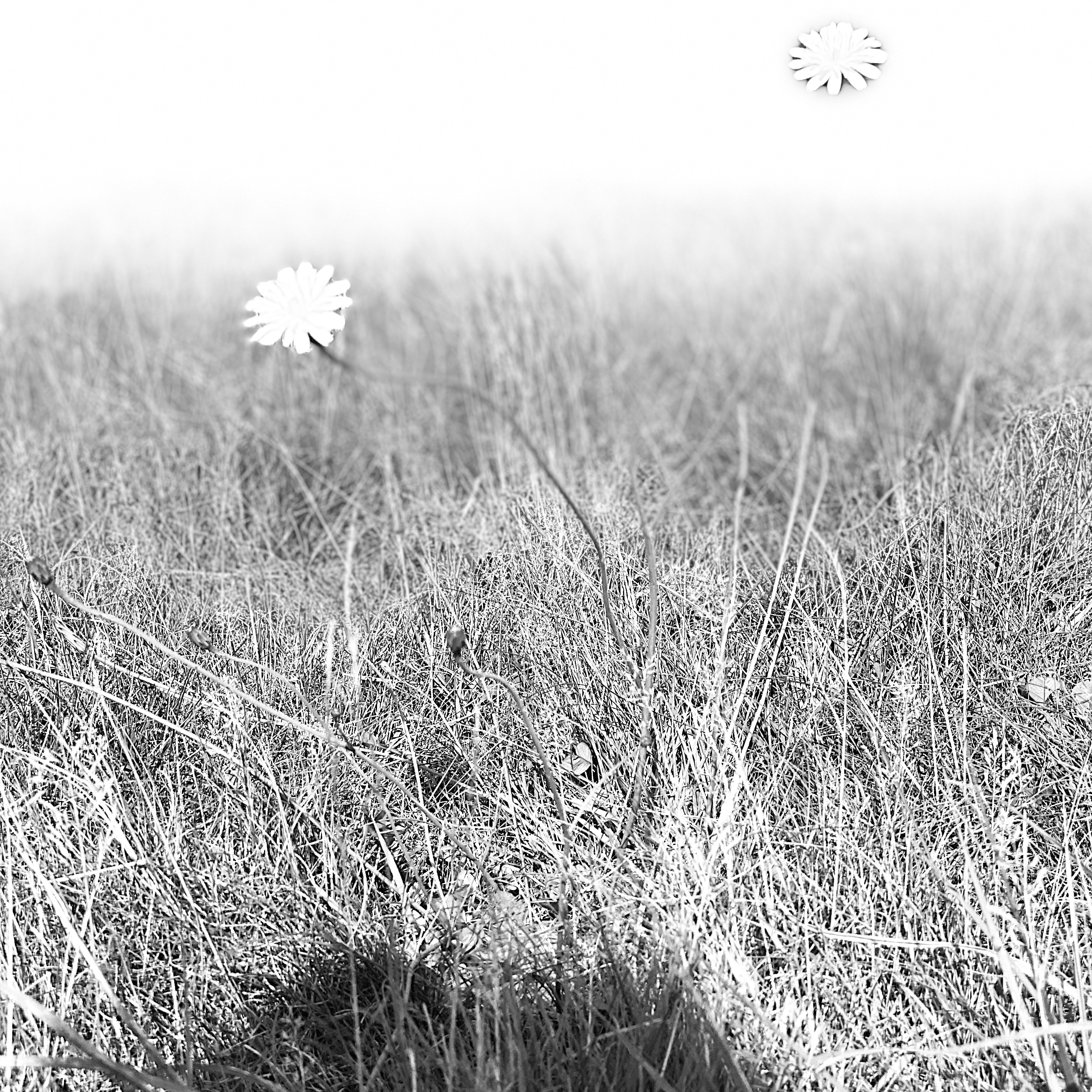 a.05.Bunshri.IMG_2596