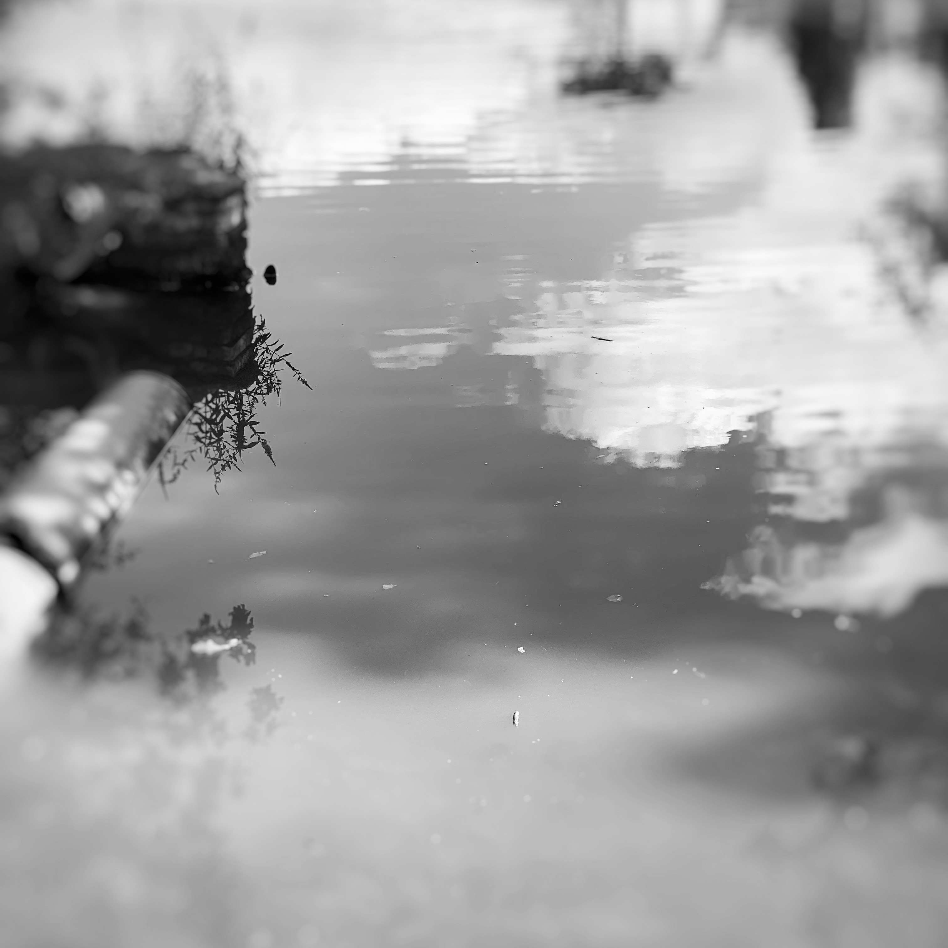 a.02.Bunshri.B9C5FEA3-A934-4C75-B7F6-B8556B8CAD92