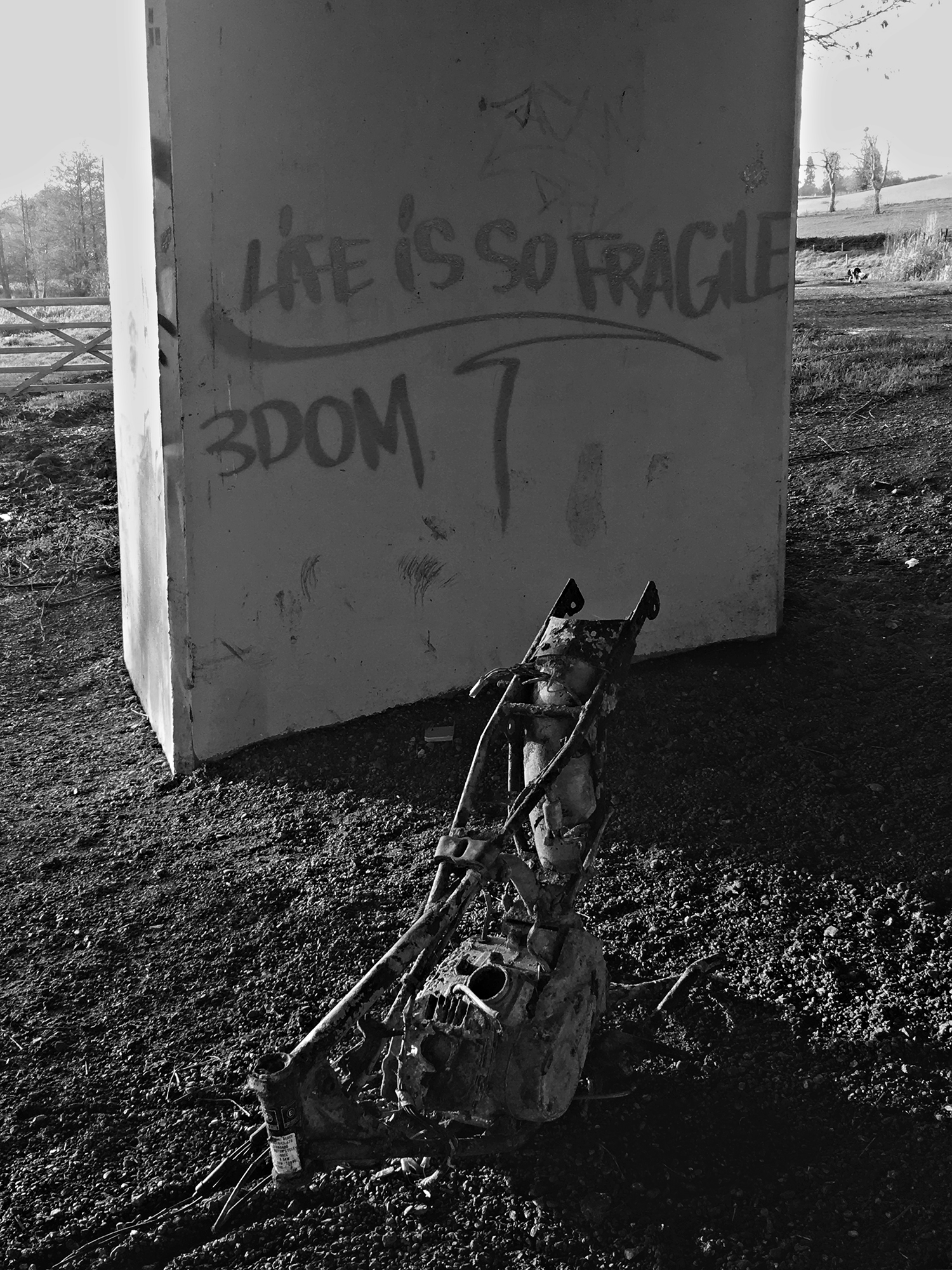 b.03.Hady.IMG_Hady-Consequences-January 2021