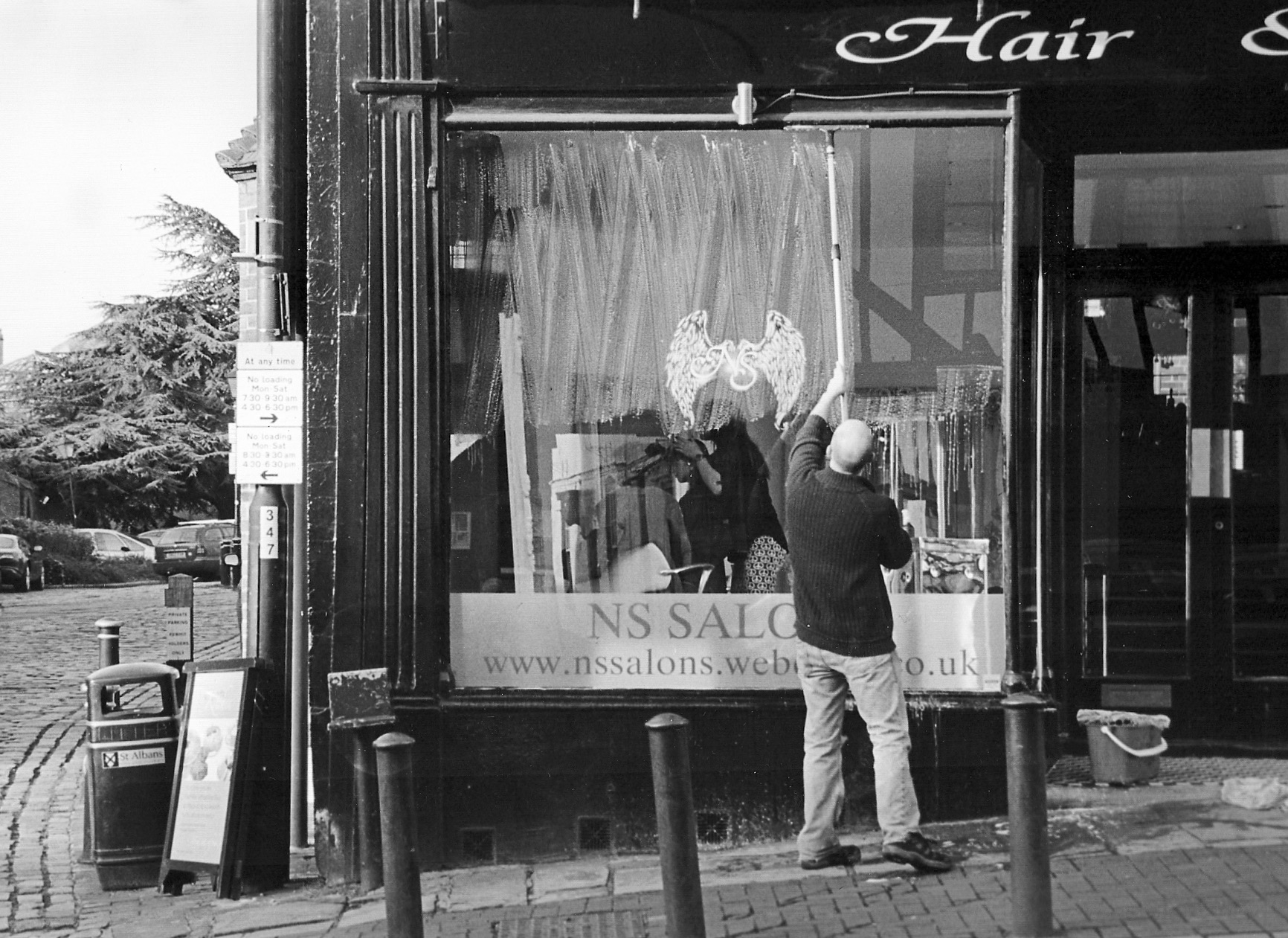 c.02.Rosemary.The Window Cleaner