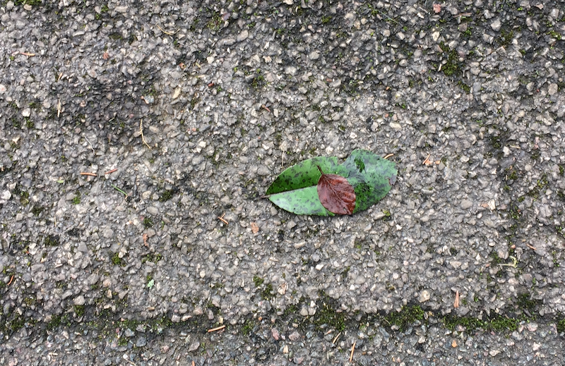 04.IMG_1758