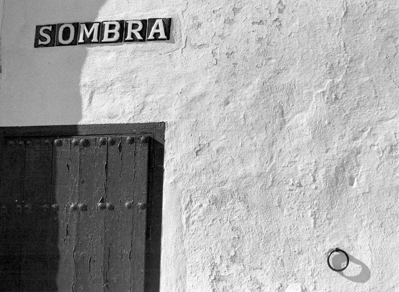 a.04.Rosemary.Sunlight and Shade