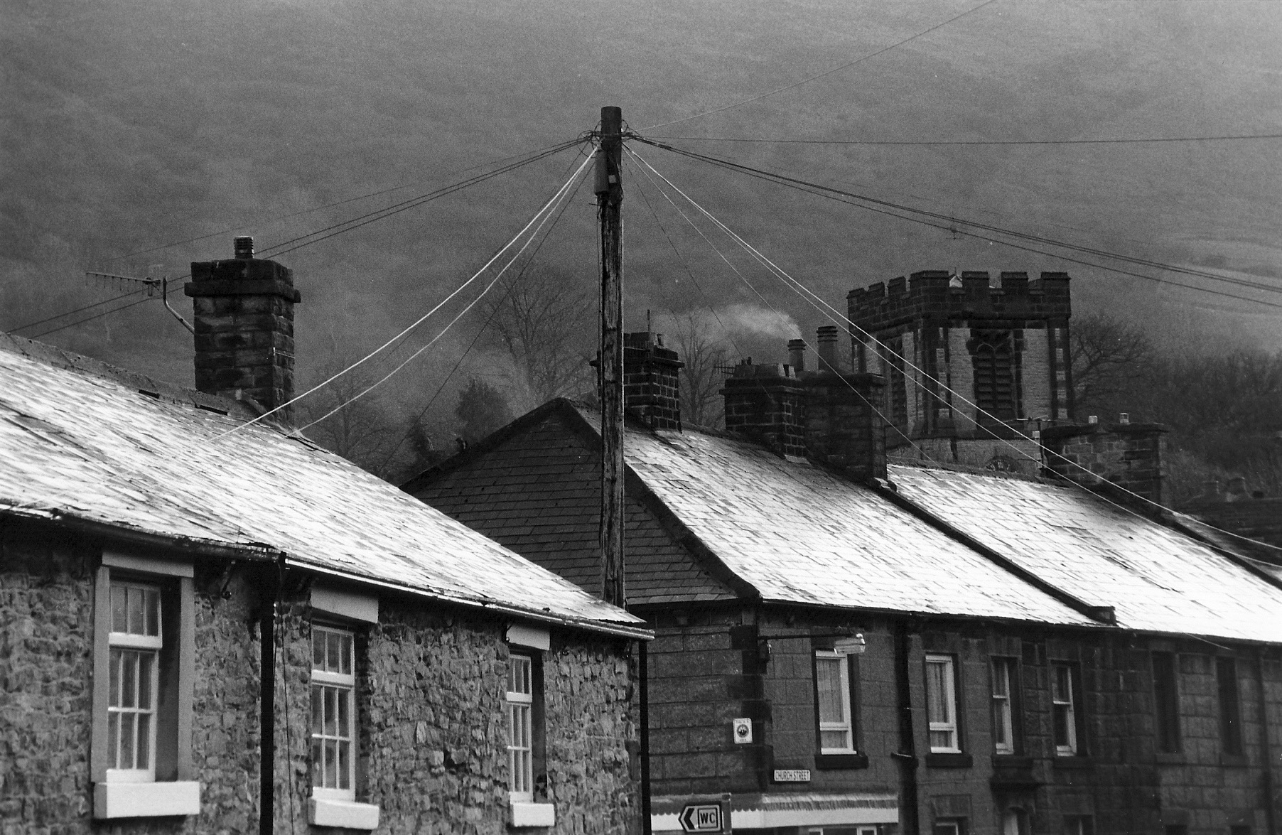 c.02.Rosemary.Rooftops