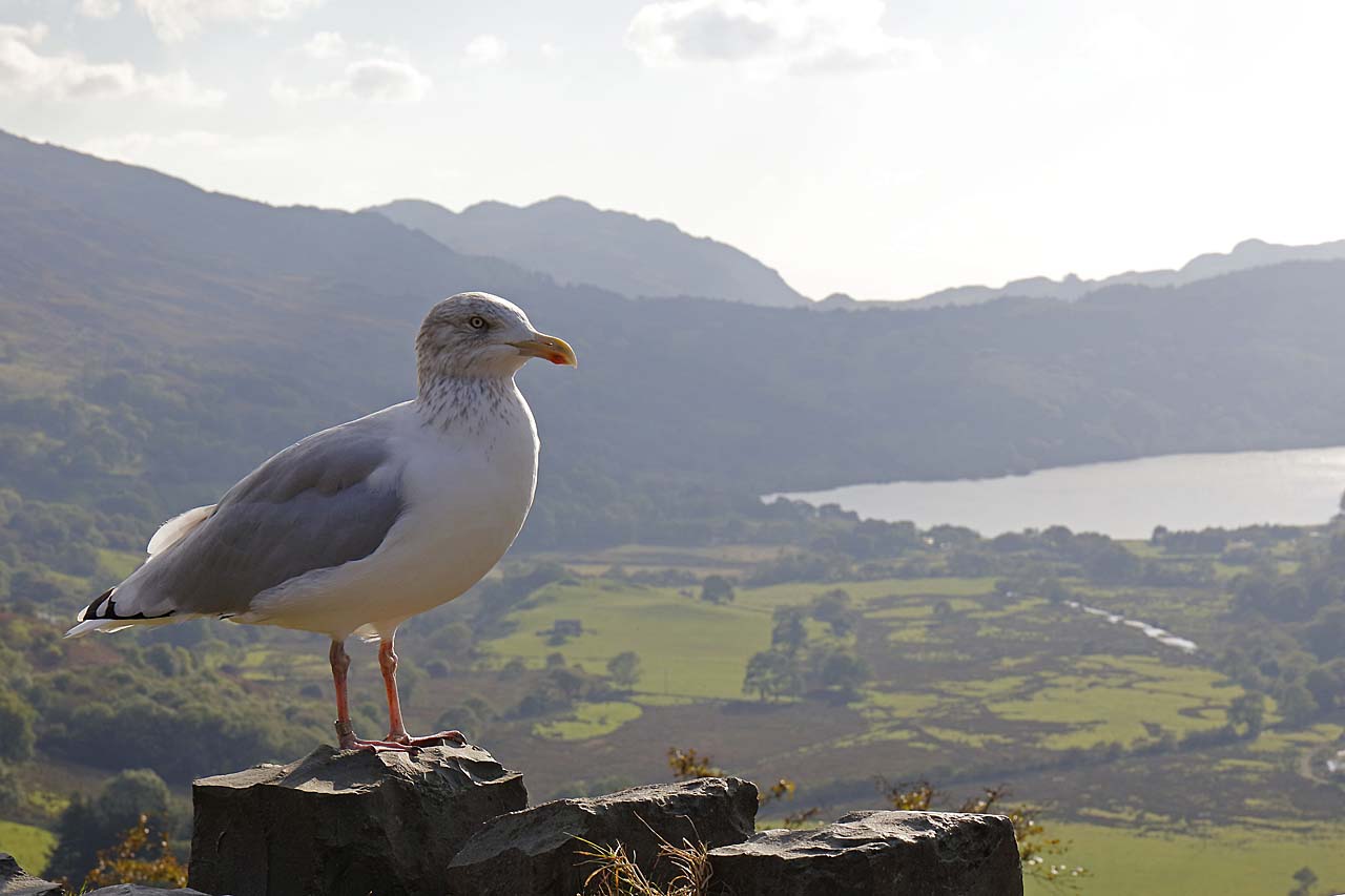 a.04.Colin.0U7A1106sm