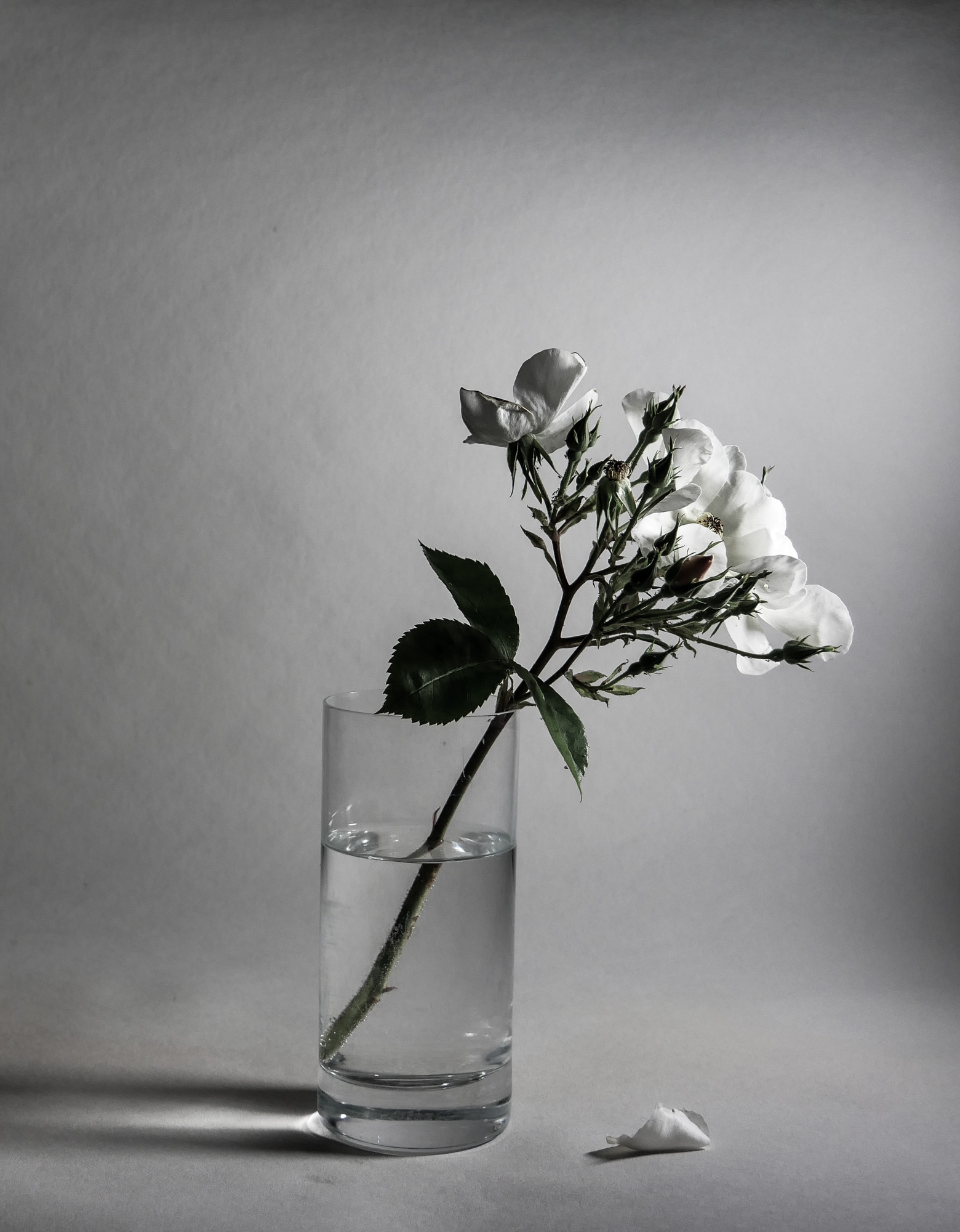 b.03.JimP Consequences 30