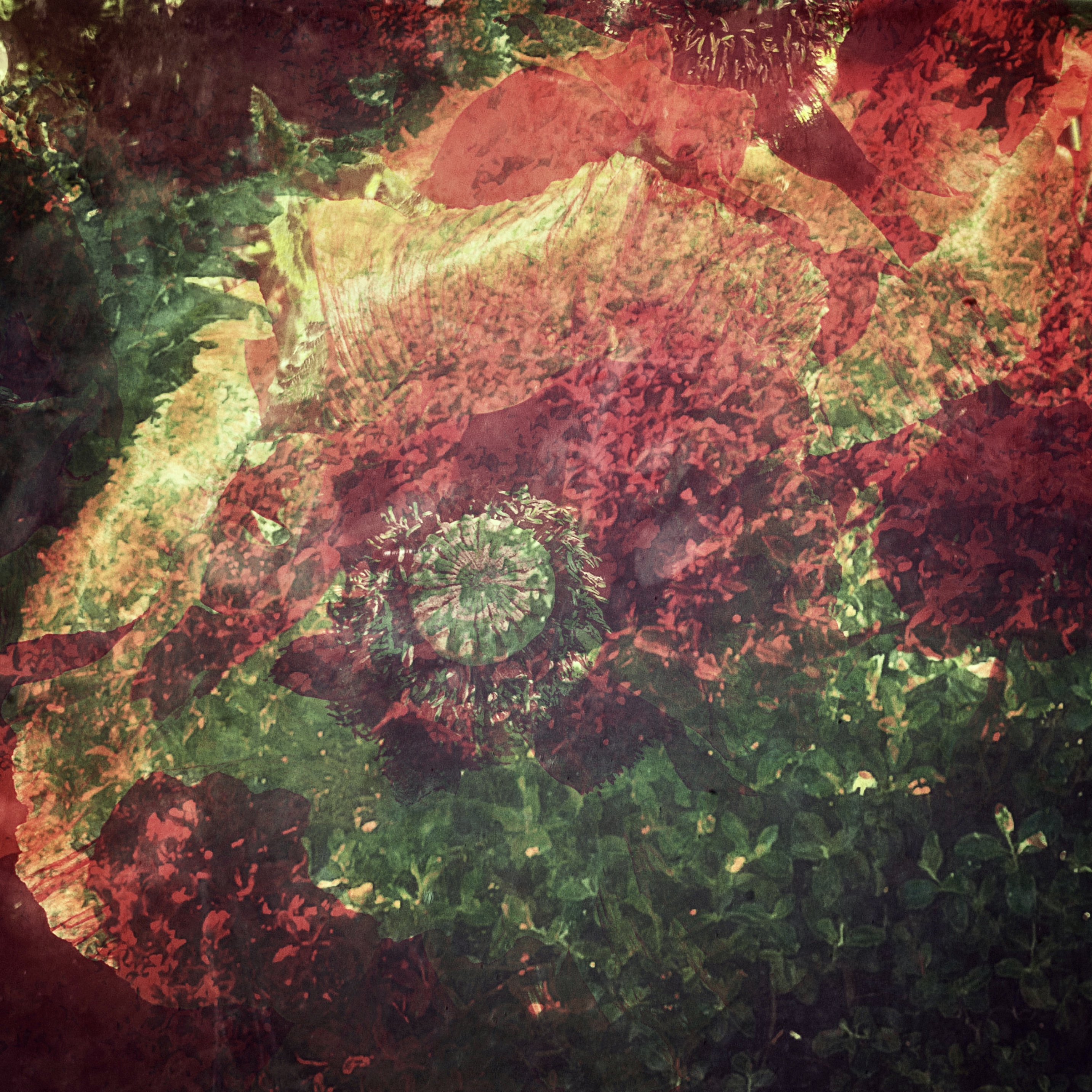 b.04.Rashida.IMG_2121