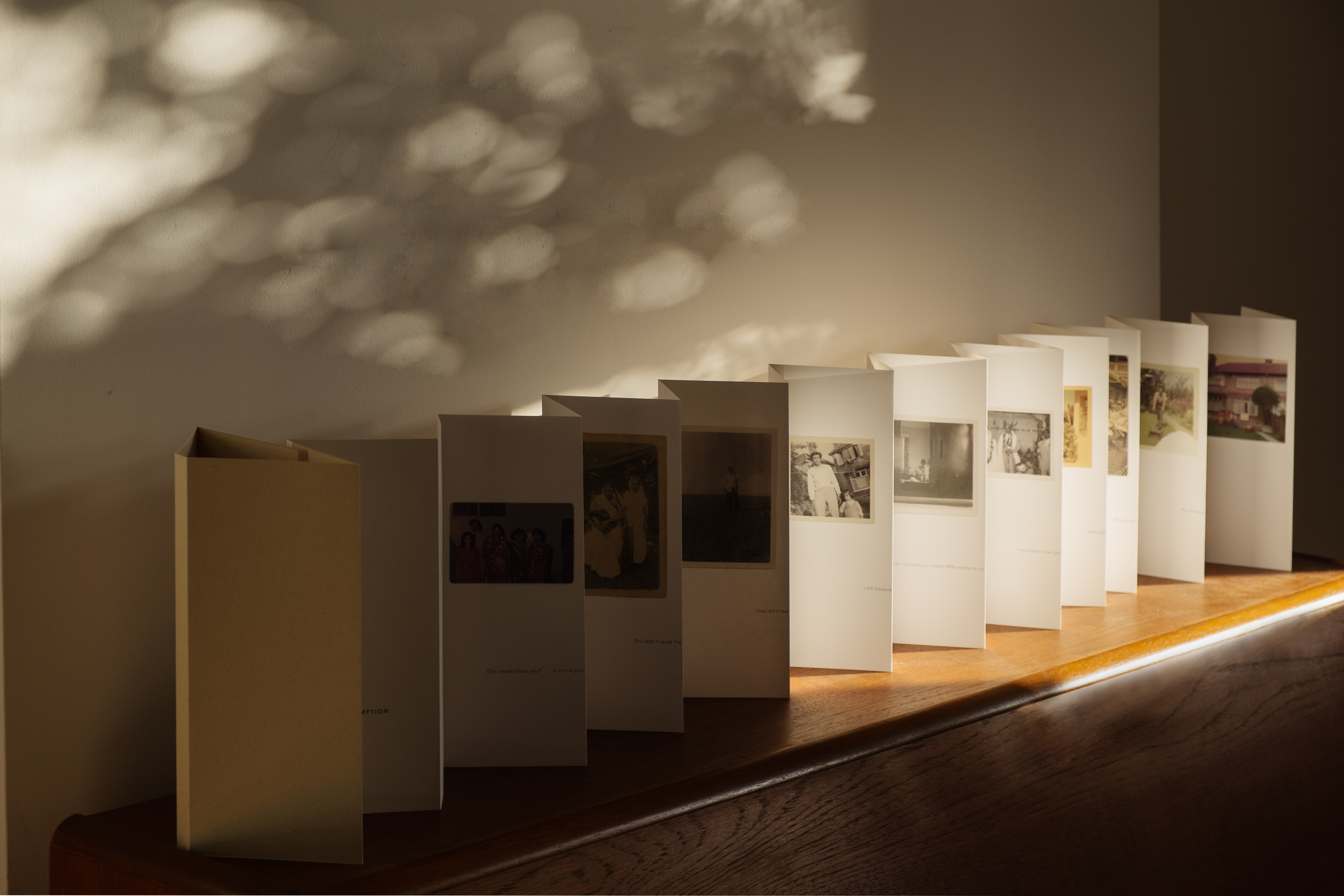 b.03.Bunshri._DSF8868 bunshri foldout book