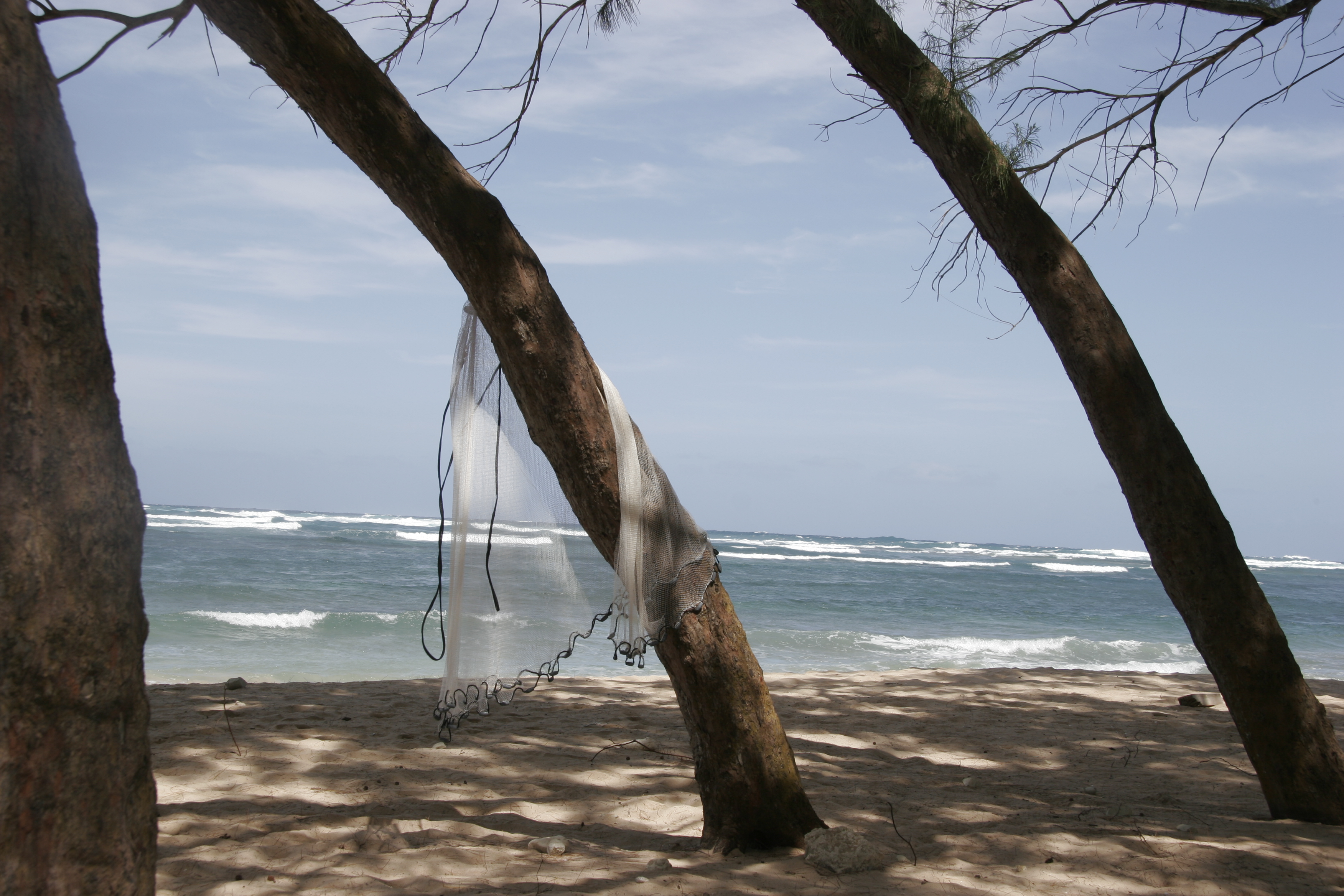 c.03.Len.LN050227-01 075