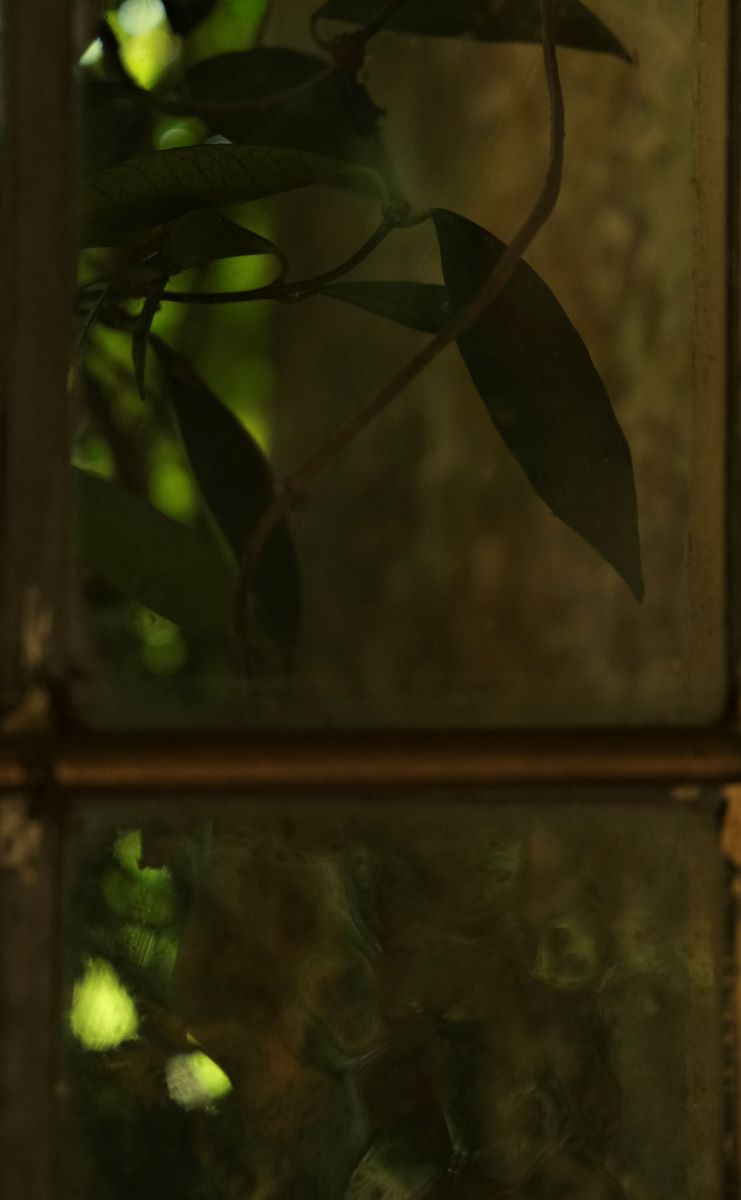 a.04.Mary.17 Through a window.