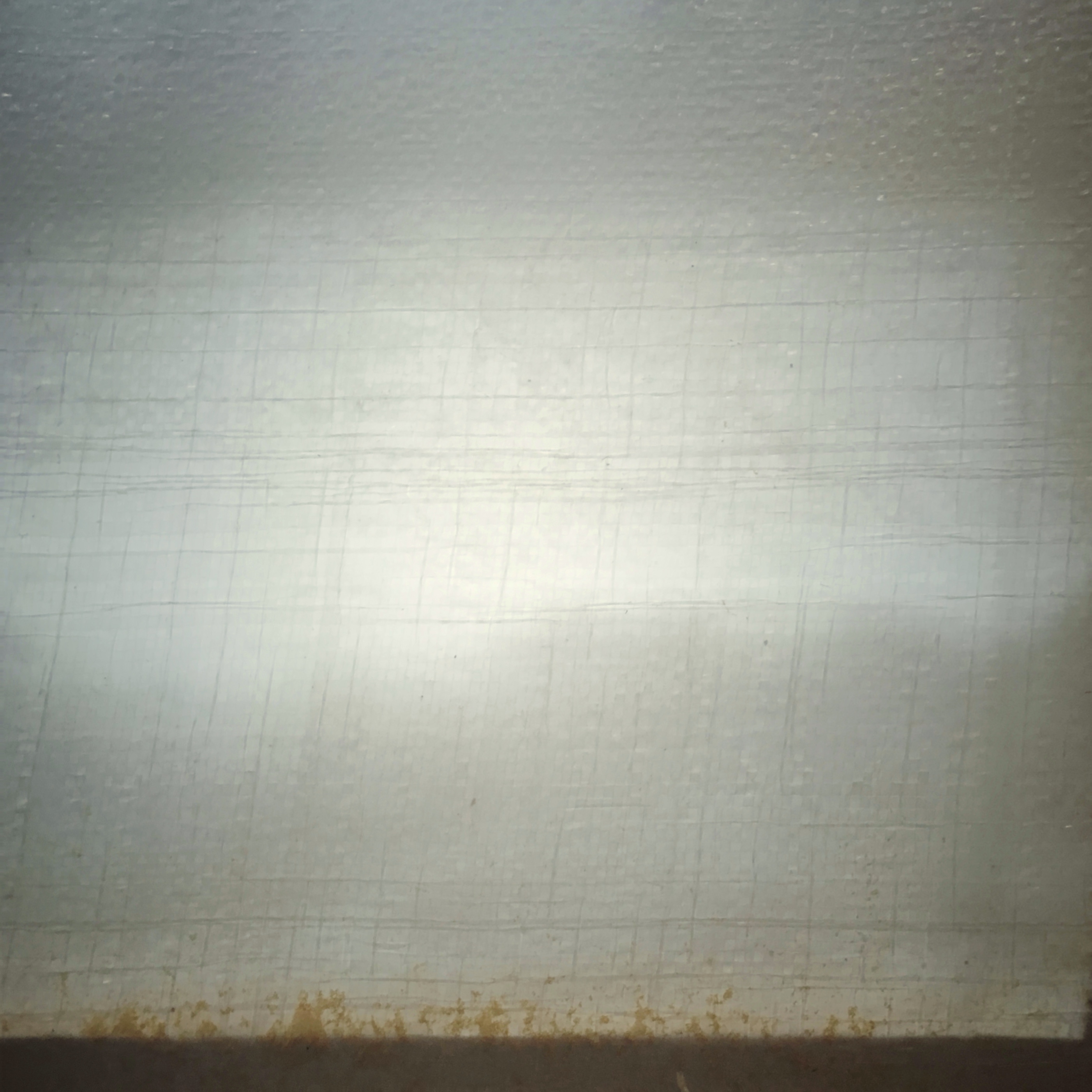 a.03.Rashida.FullSizeRender