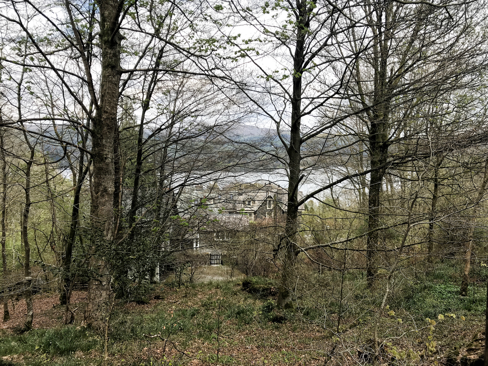 Dec Balla Wray bushes Ap 2021