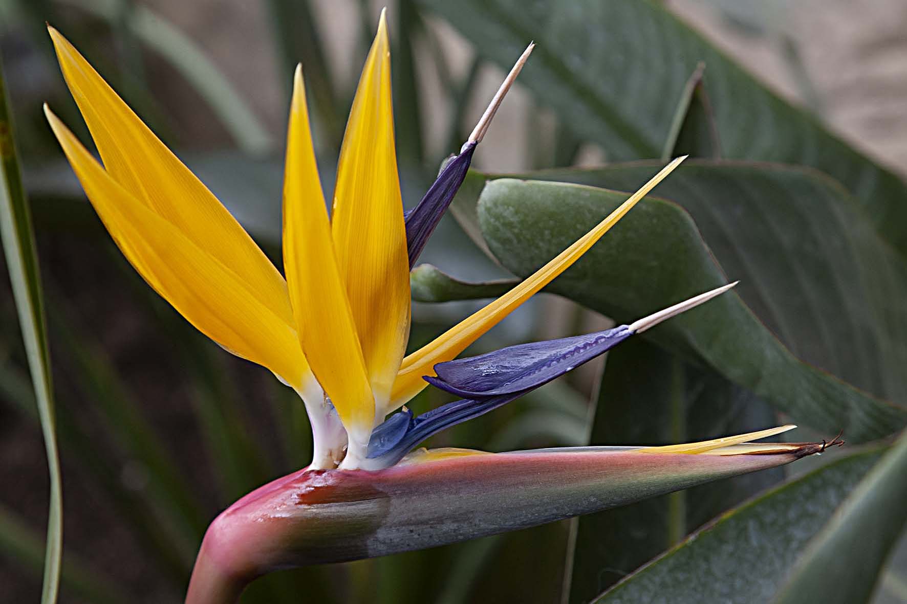 04.Colin.IMG_8531crop