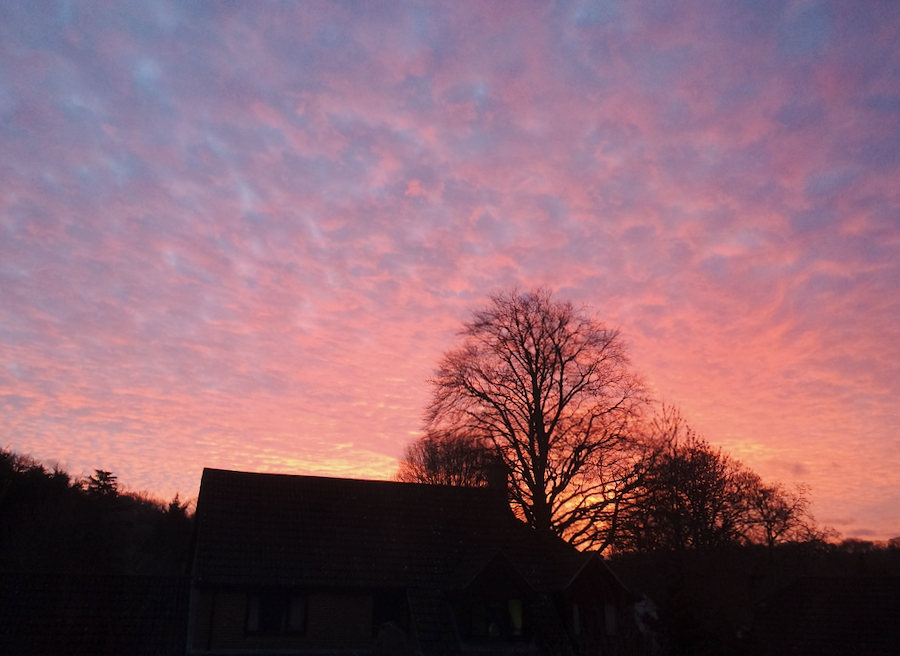 a.07.Mermie.1.IMG_4993