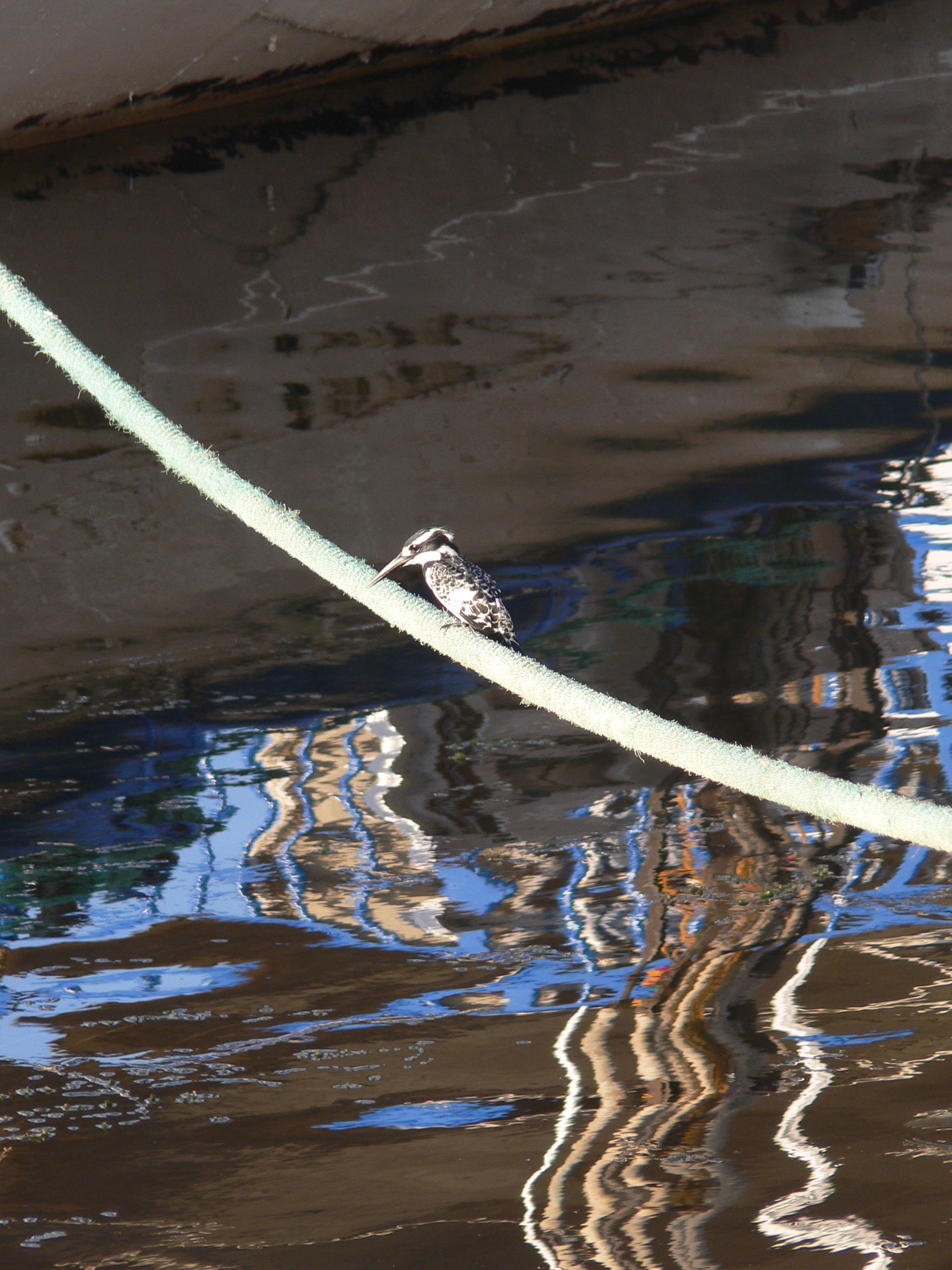 b.03.Dawn.6E0BBB21-5AEF-44DF-B0D2-5A8AAAF9A231