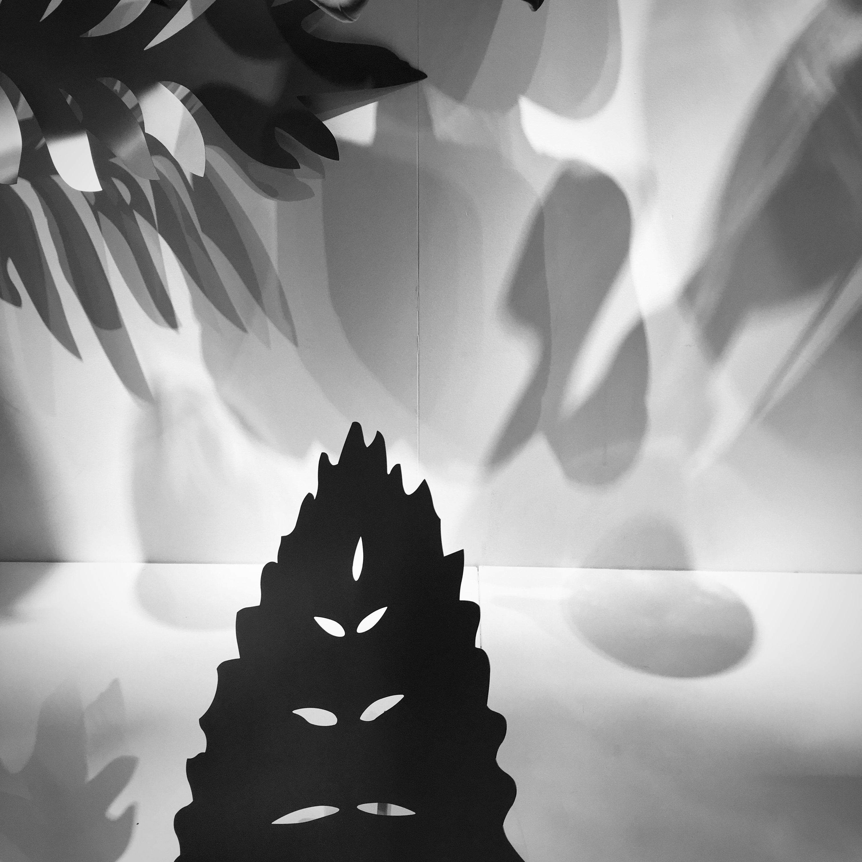 a.04.Rashida.image (2)