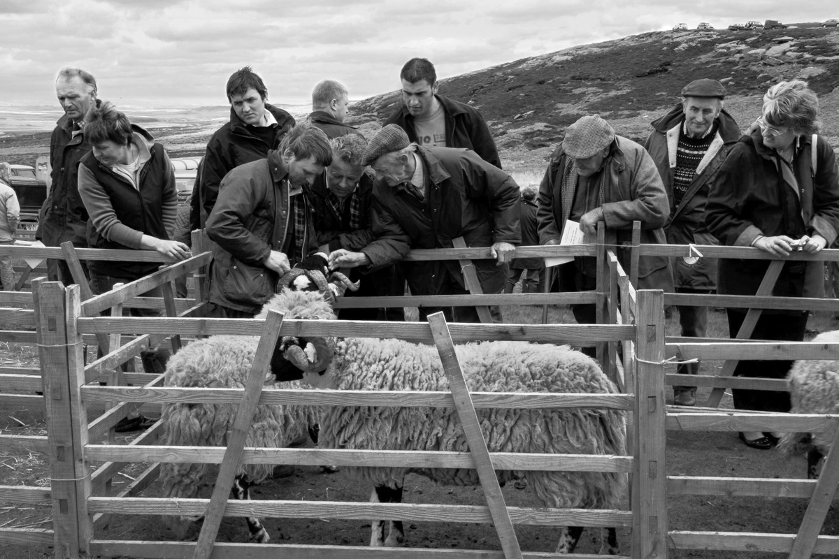 a.04.Kate.KW June consequence