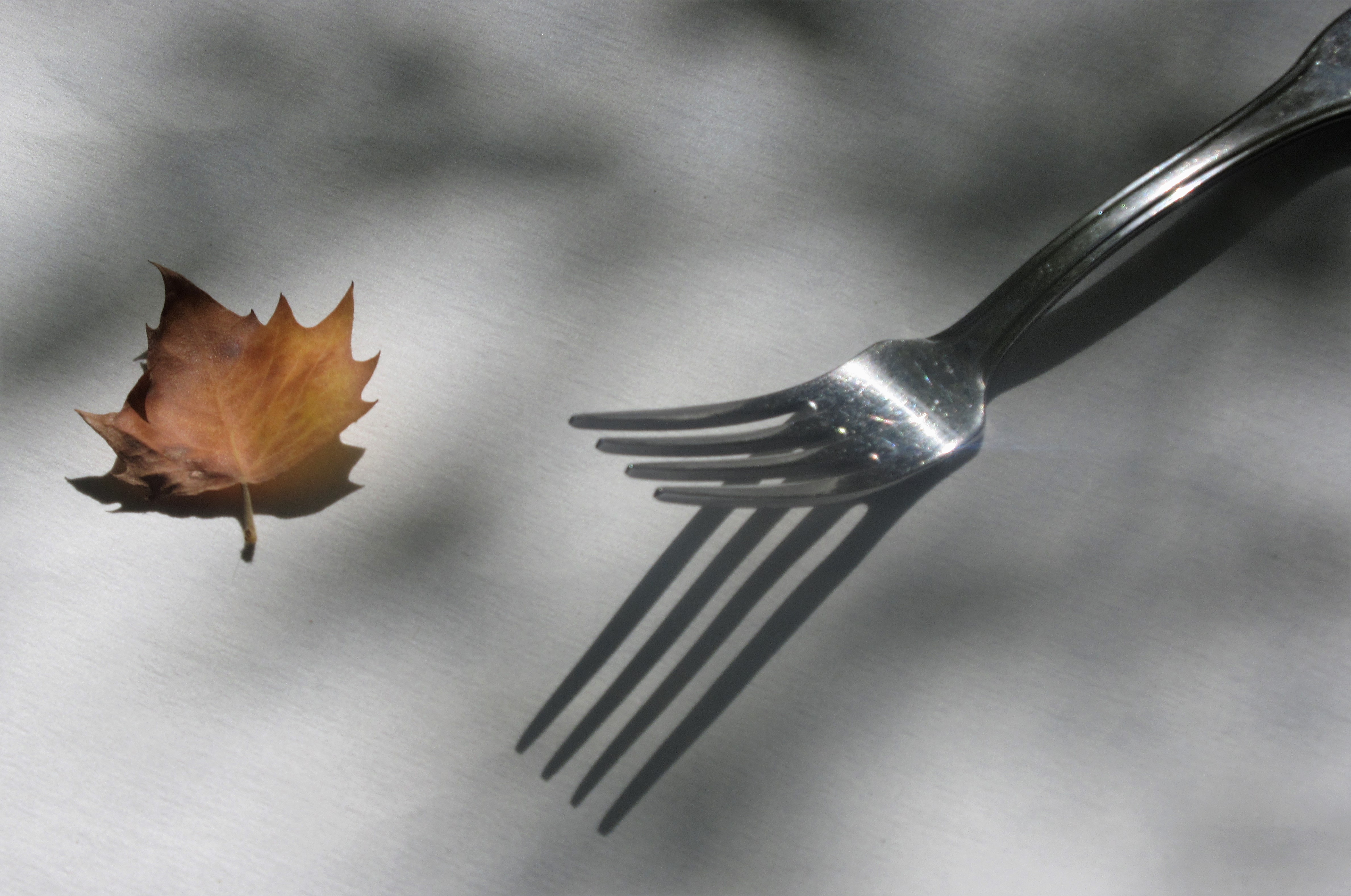 b.02.Mary.IMG_2347 (2)