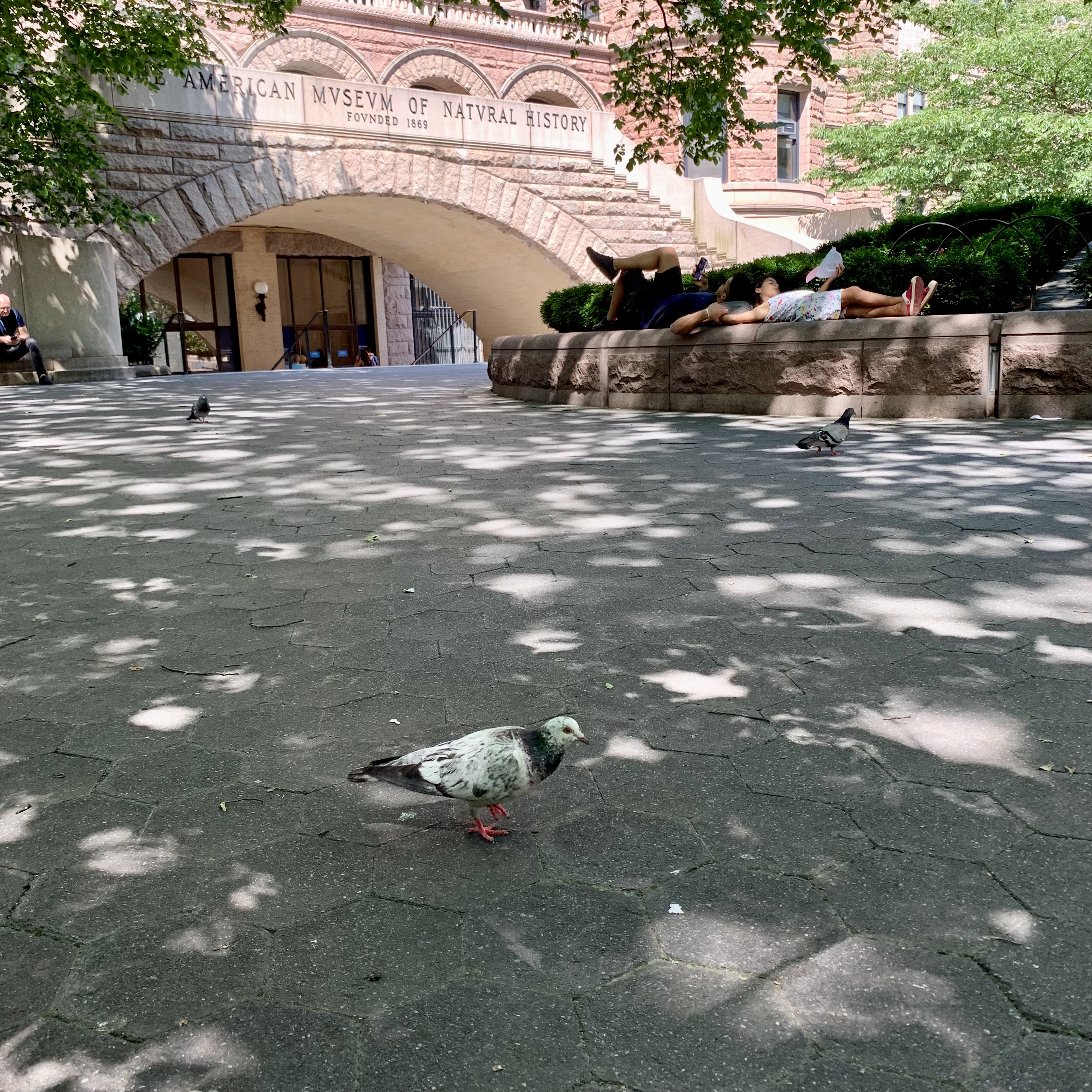 a.04.Rashida.IMG_2066