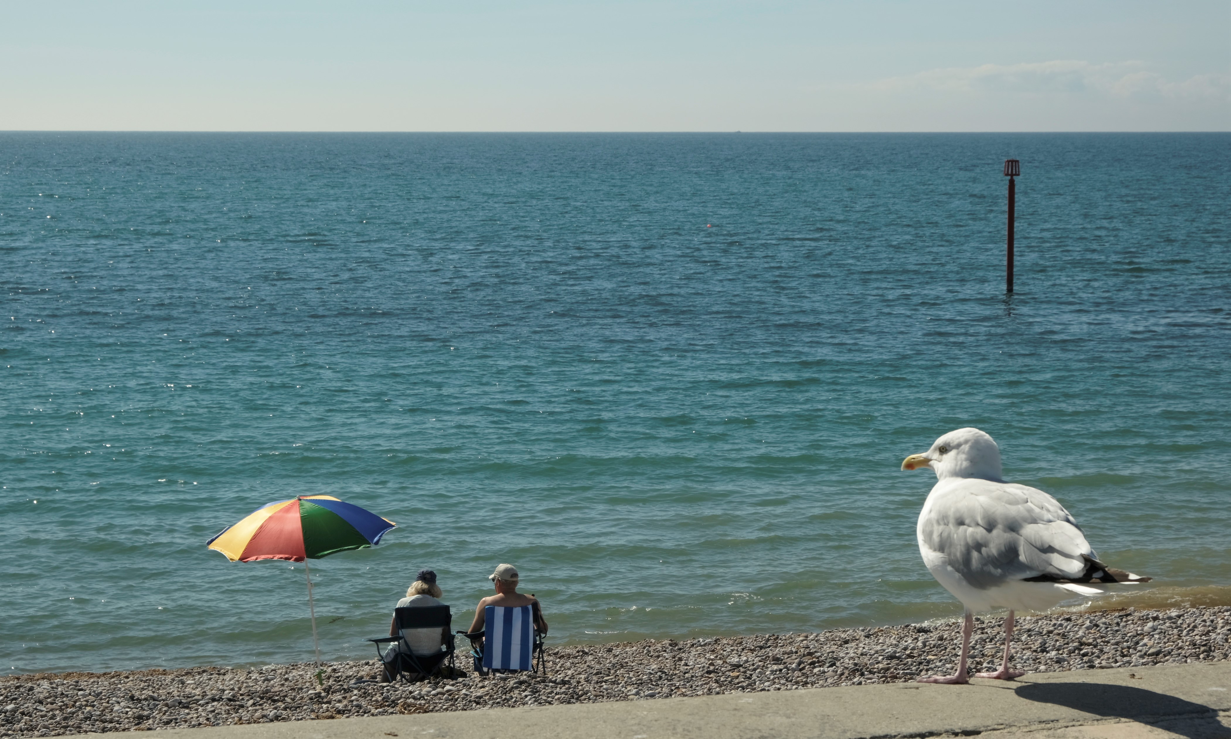 a.05.Mary._DSF8128 (2)