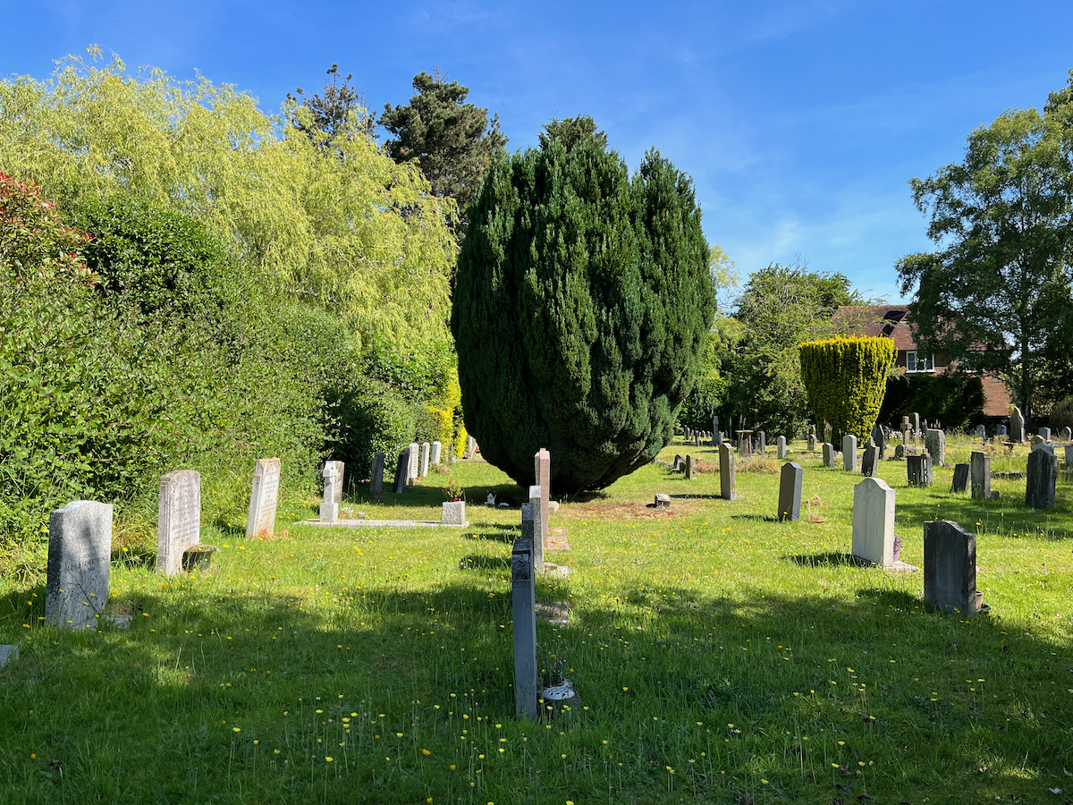 a.01.Mermie.IMG_0591