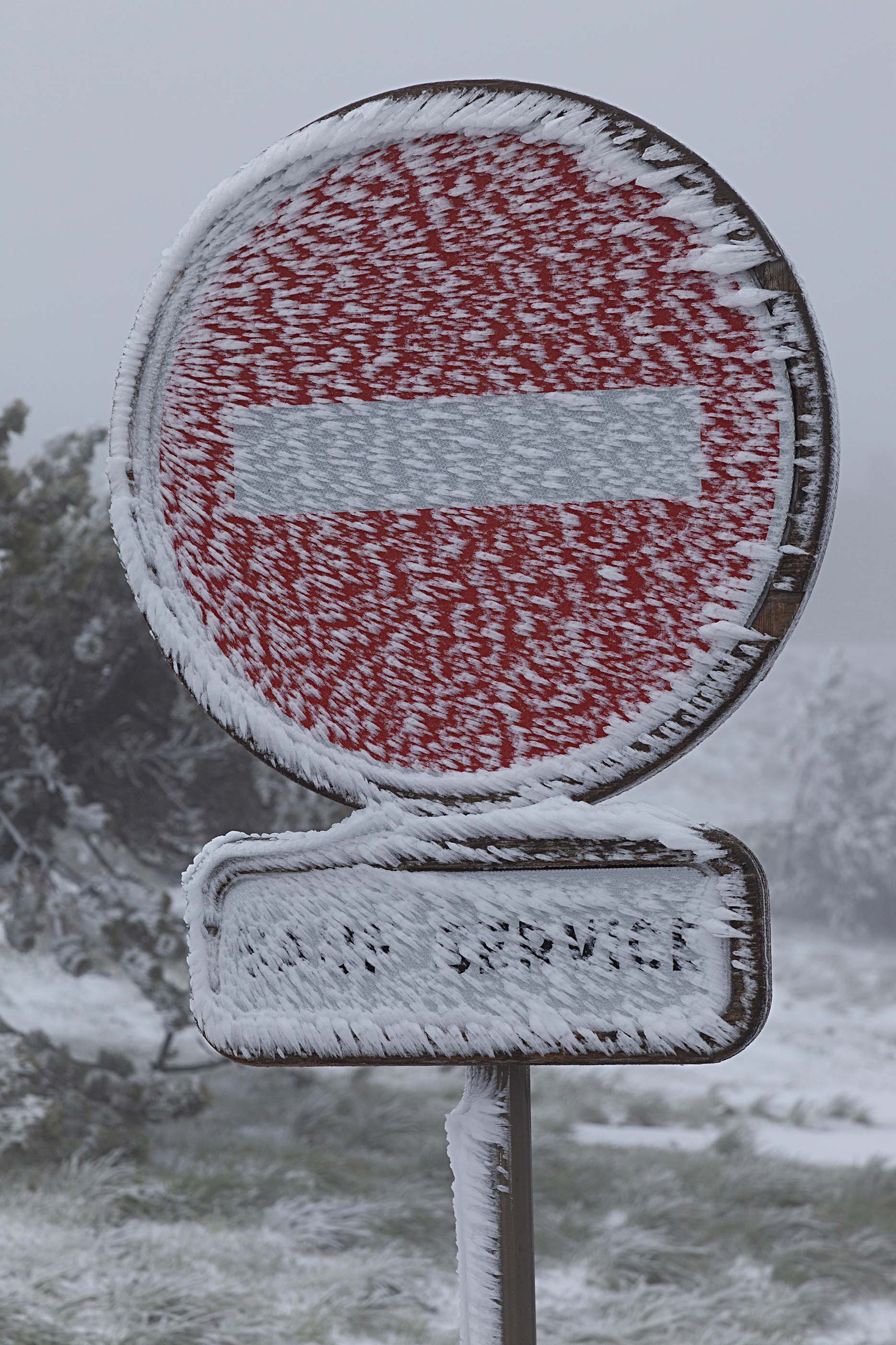 a.02.Colin._MG_0804s