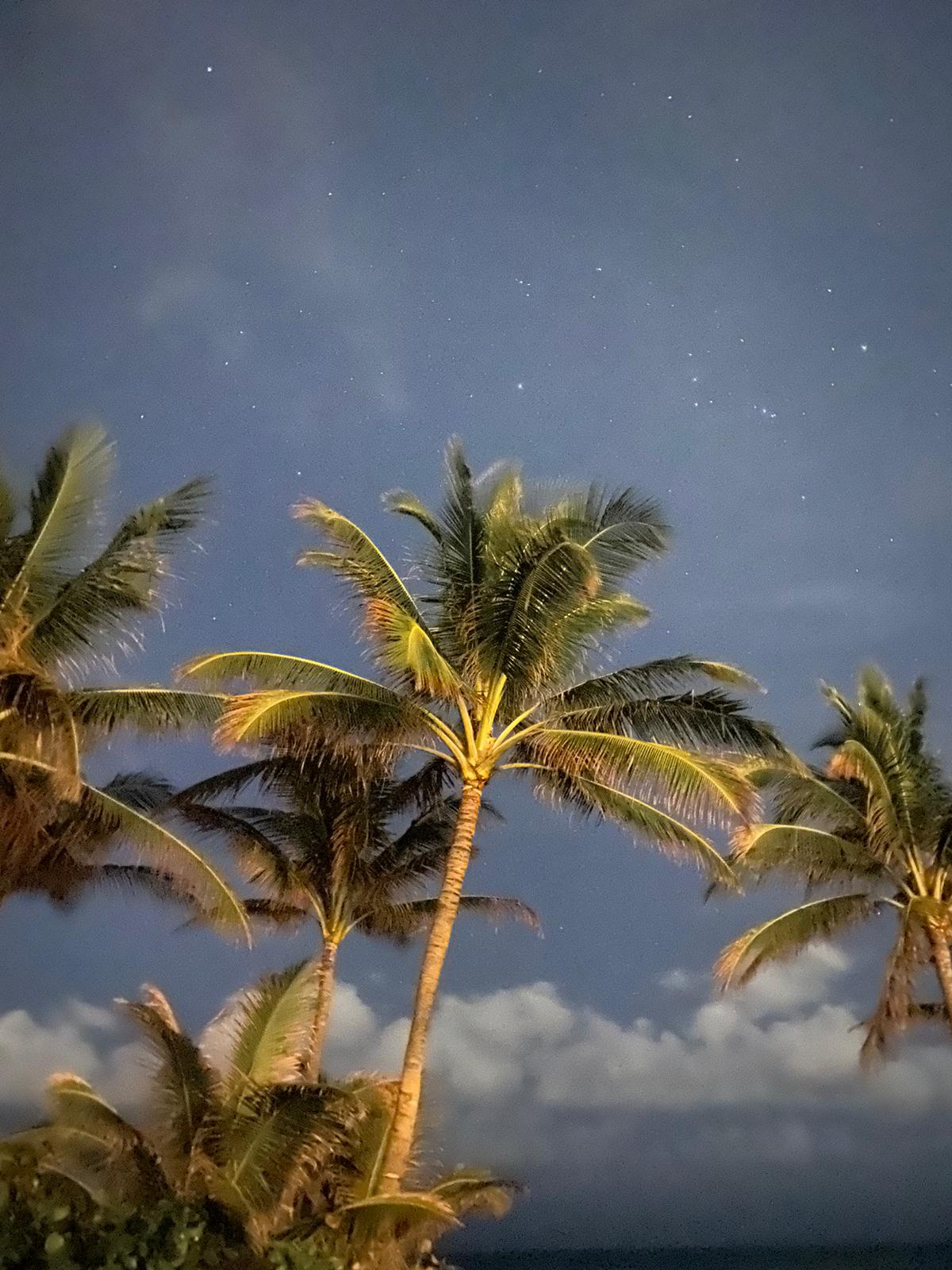 a.04.Avril.77670287-fd6b-49d8-a65c-d95e2a28ca57