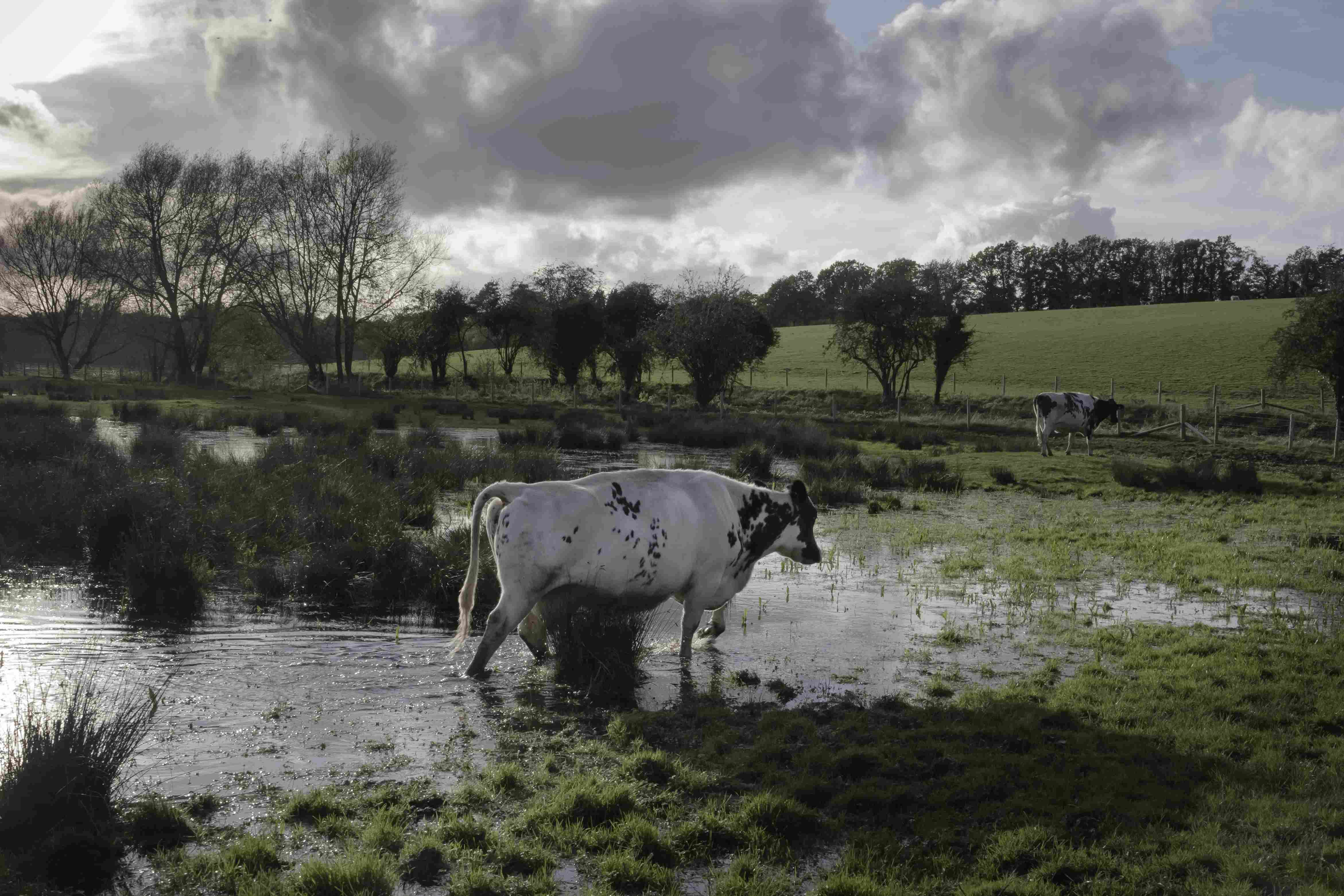 10.duncanunsworth_river_ver