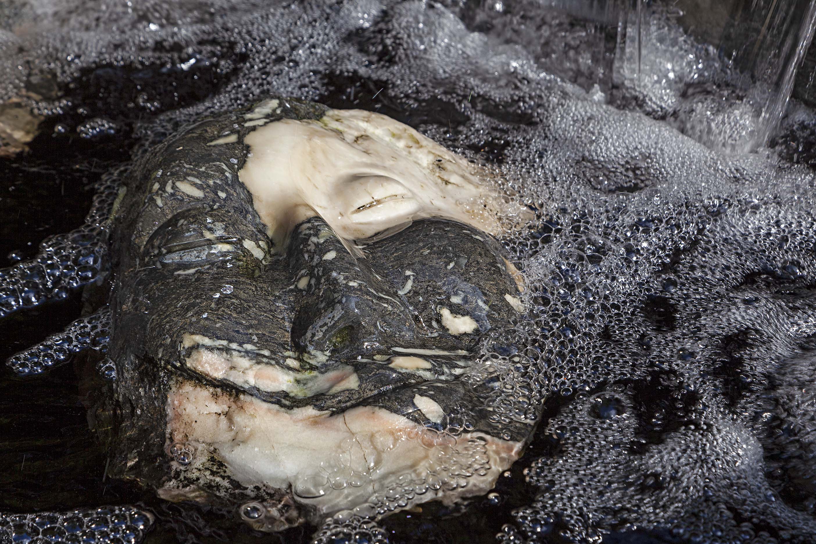 a.04.Colin._MG_4996s