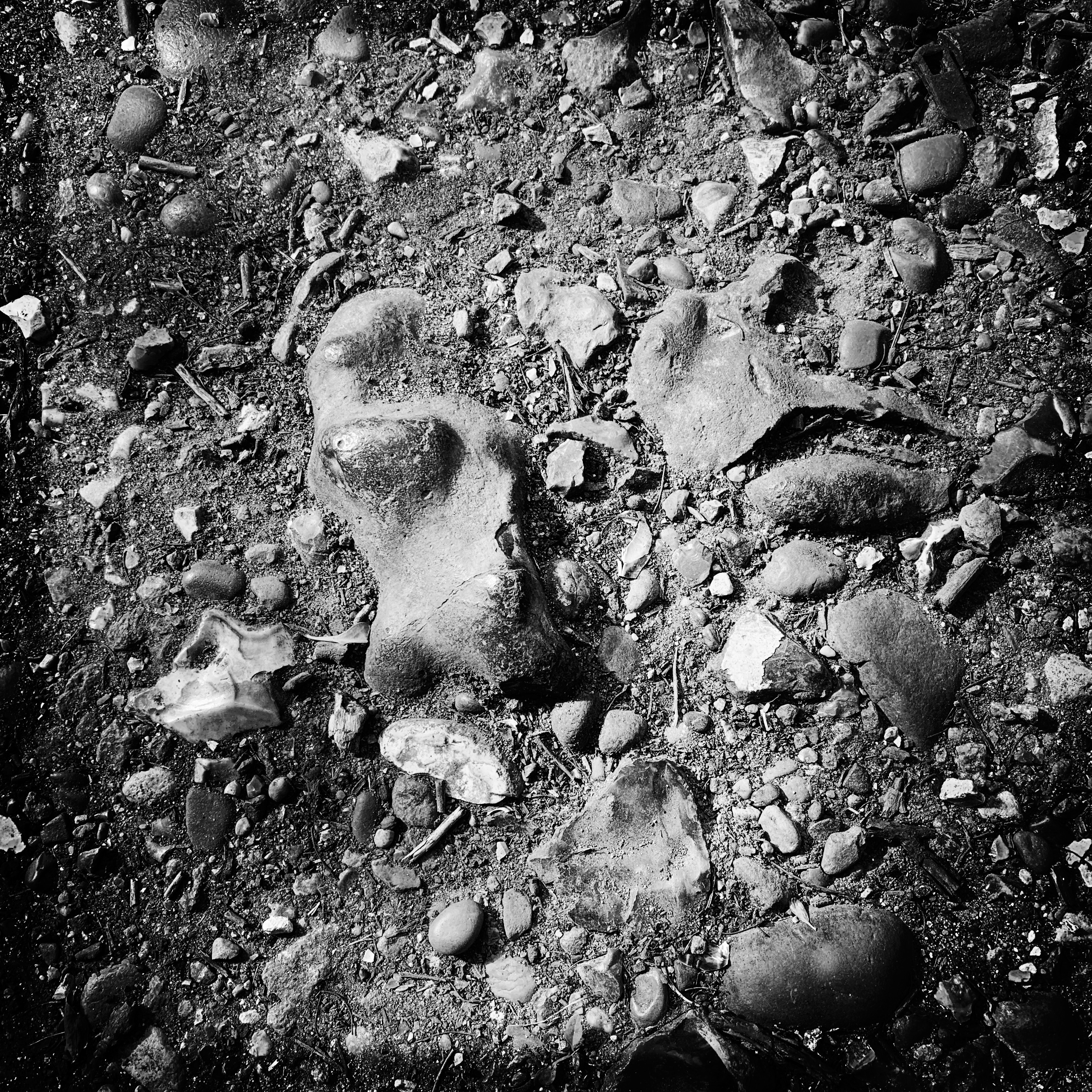 a.05.Rashida.image (4)